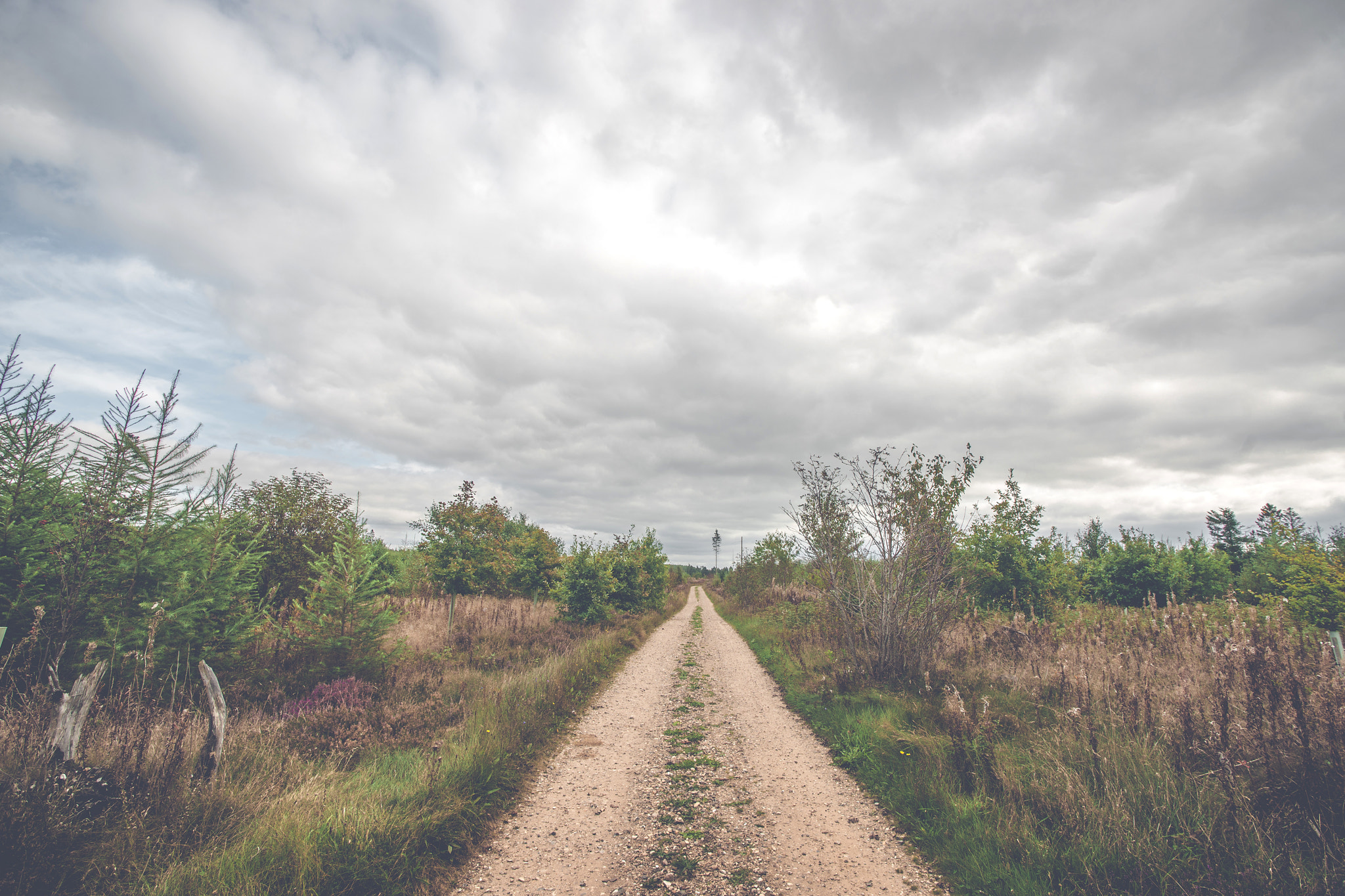 Sony Alpha DSLR-A900 sample photo. Dark clouds over a countryside trail photography