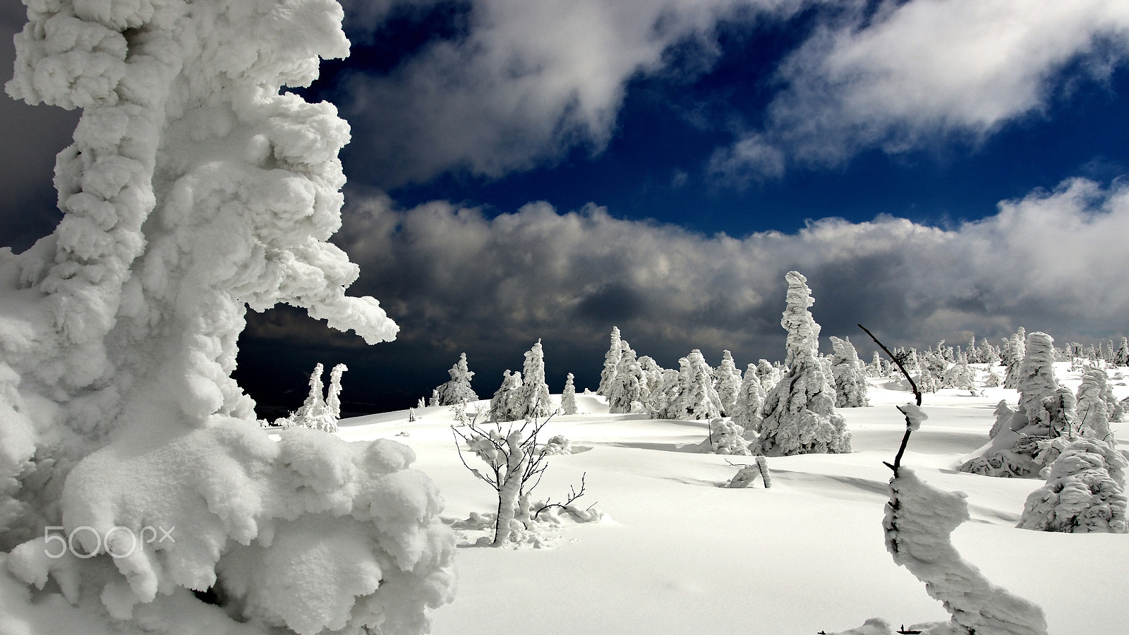 Nikon D7000 sample photo. After snow storm photography