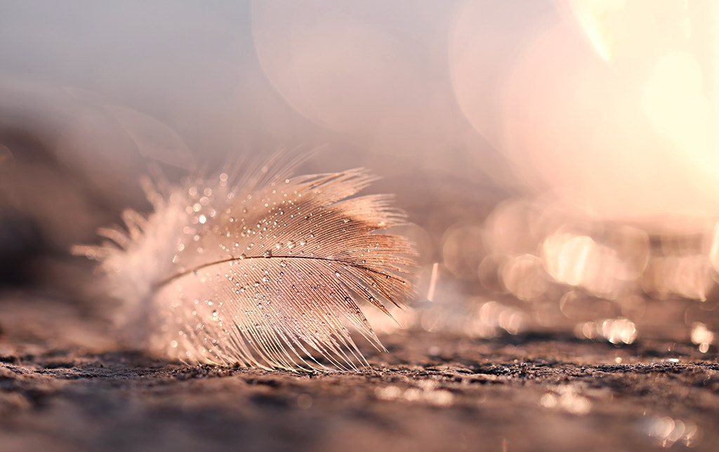 Canon EF 100mm F2.8L Macro IS USM sample photo. Die wellen sind die einzigen, die ich bewundere, w photography