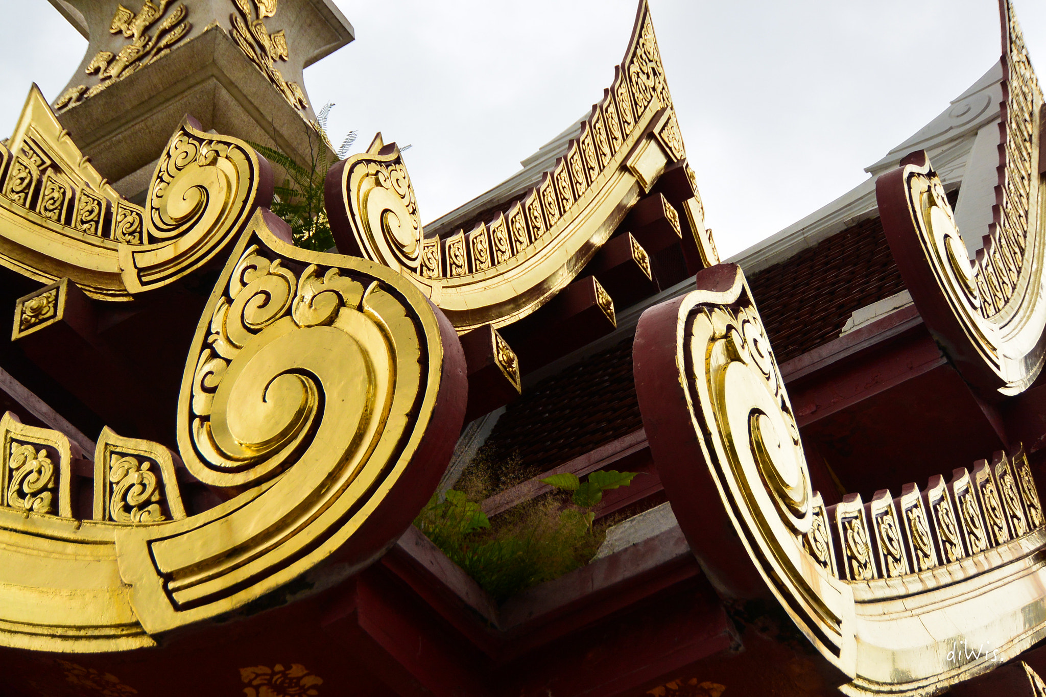 Nikon 1 V2 sample photo. Hidden green - udon thani photography