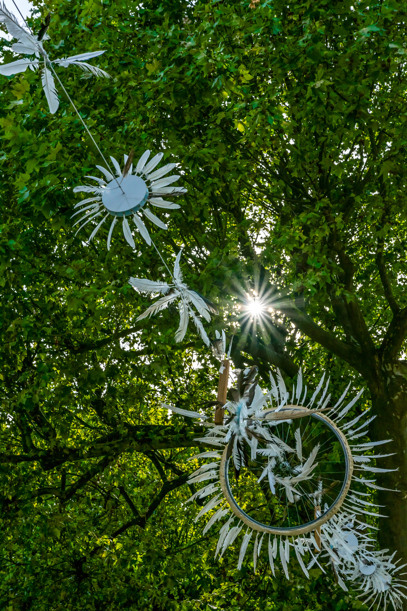 Nikon D3300 + Sigma 18-35mm F1.8 DC HSM Art sample photo. Outdoor decoration photography