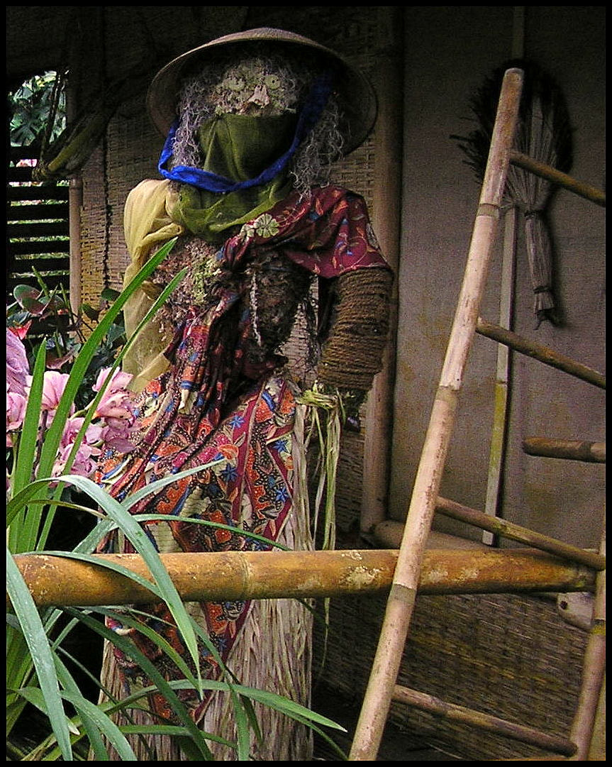 Olympus X100,D540Z,C310Z sample photo. Indonesian woman photography