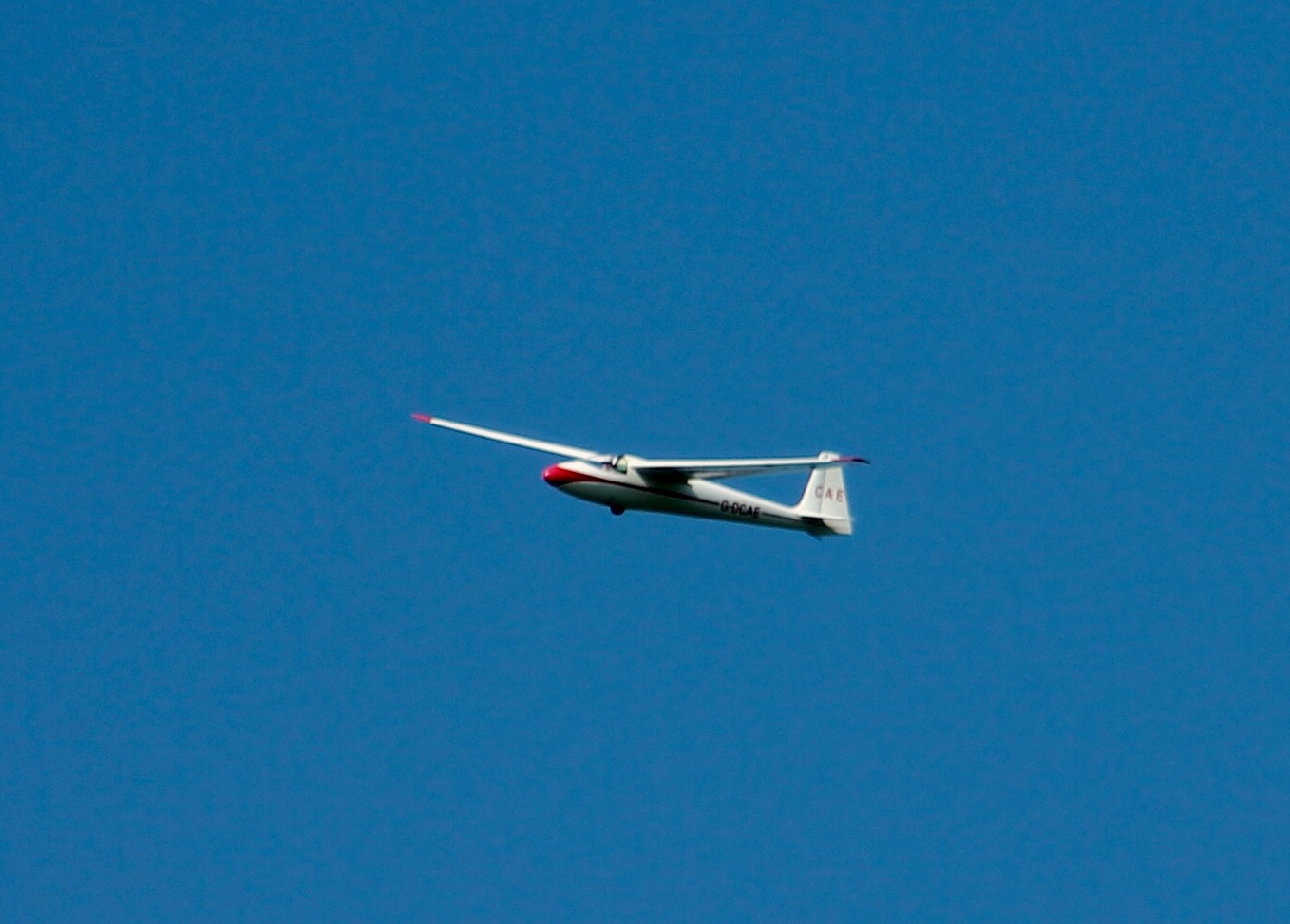 Canon EF75-300mm f/4-5.6 sample photo. Gliding as free as a bird photography