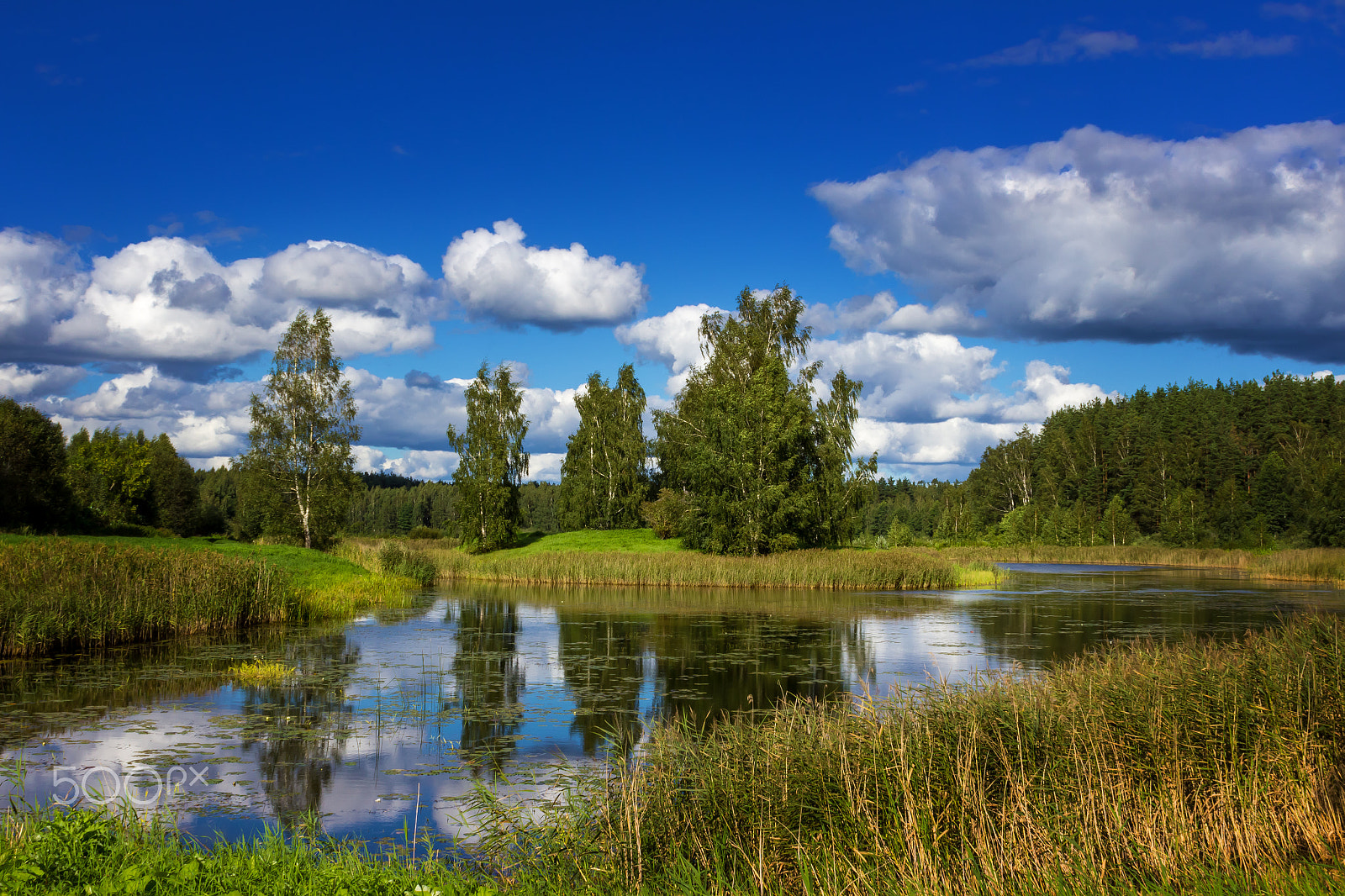 Canon EOS 600D (Rebel EOS T3i / EOS Kiss X5) + Canon EF 28mm F1.8 USM sample photo. Summer landscape photography