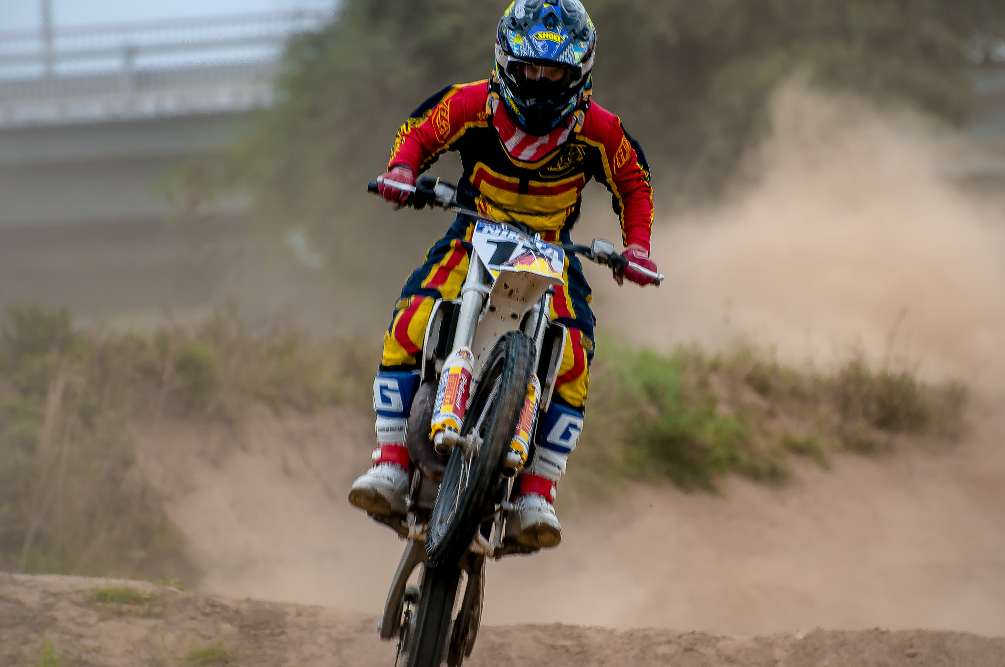 Nikon D300S sample photo. Dust photography