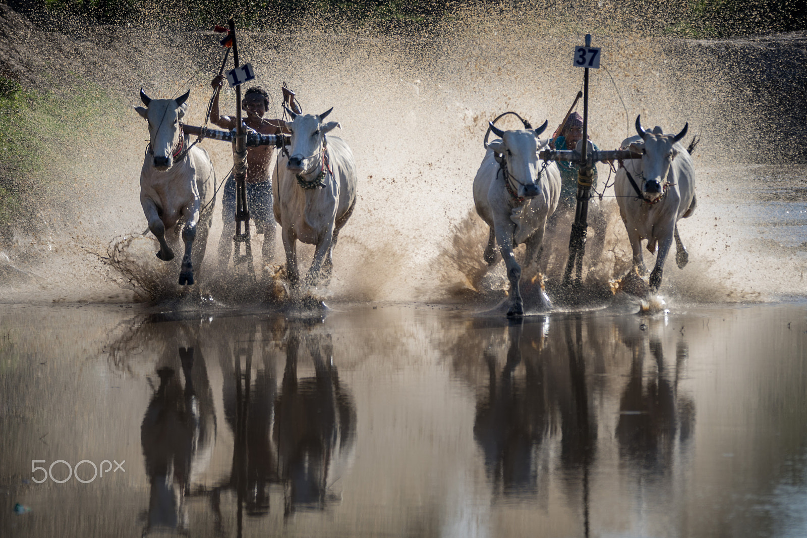Sony 70-300mm F4.5-5.6 G SSM sample photo. Competition photography