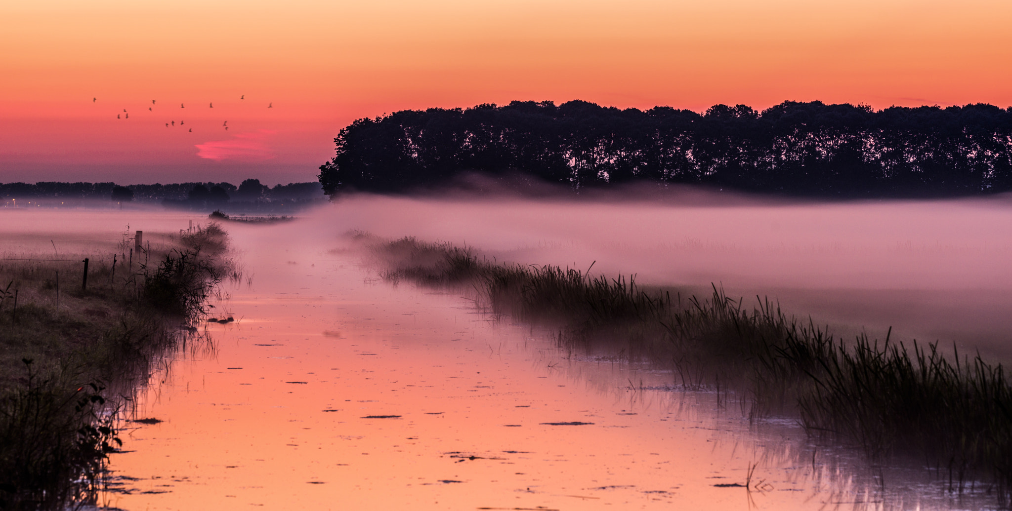 Nikon D800 sample photo. A blanket of fog photography