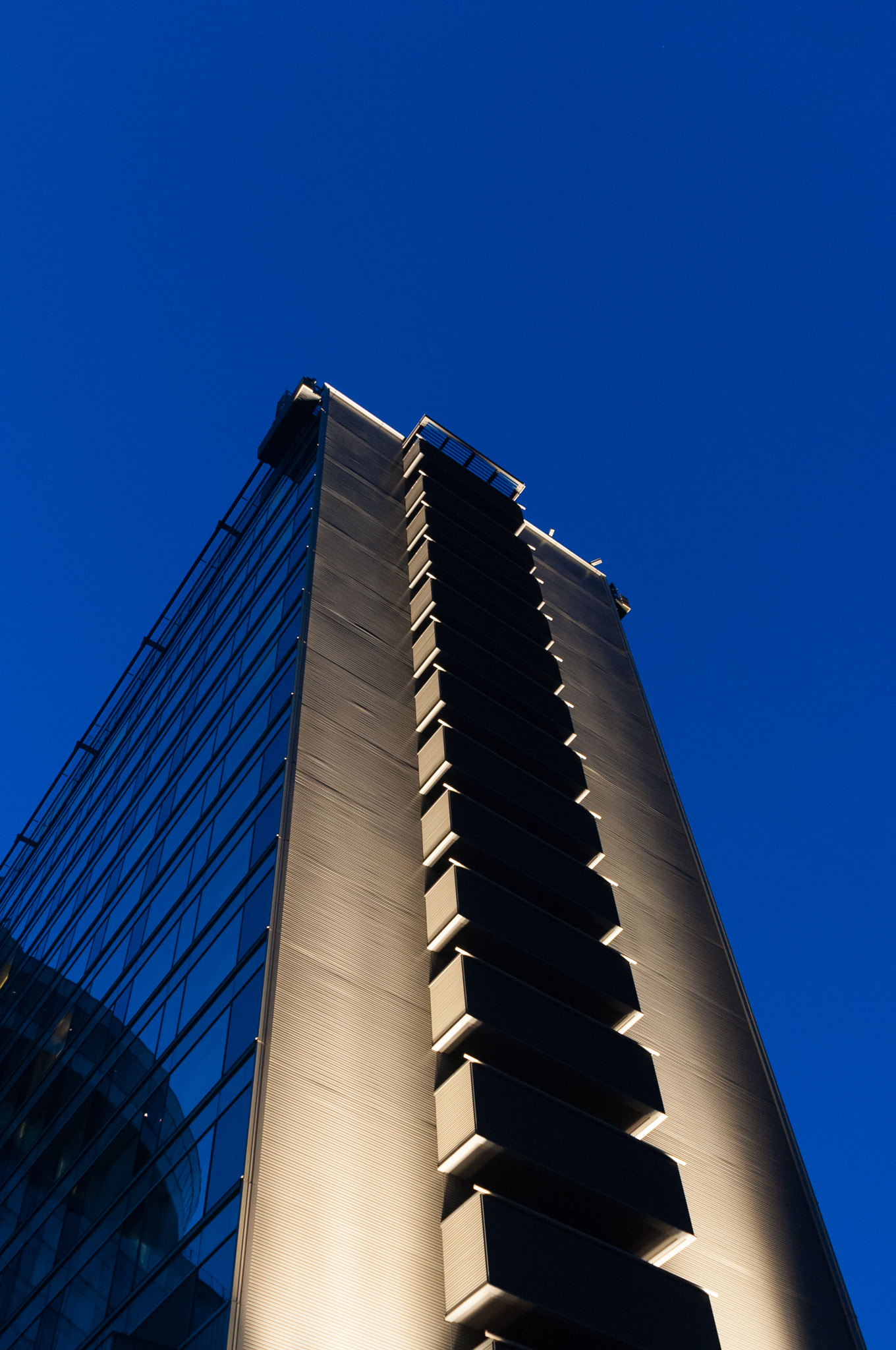 Nikon D5000 sample photo. Skyward photography