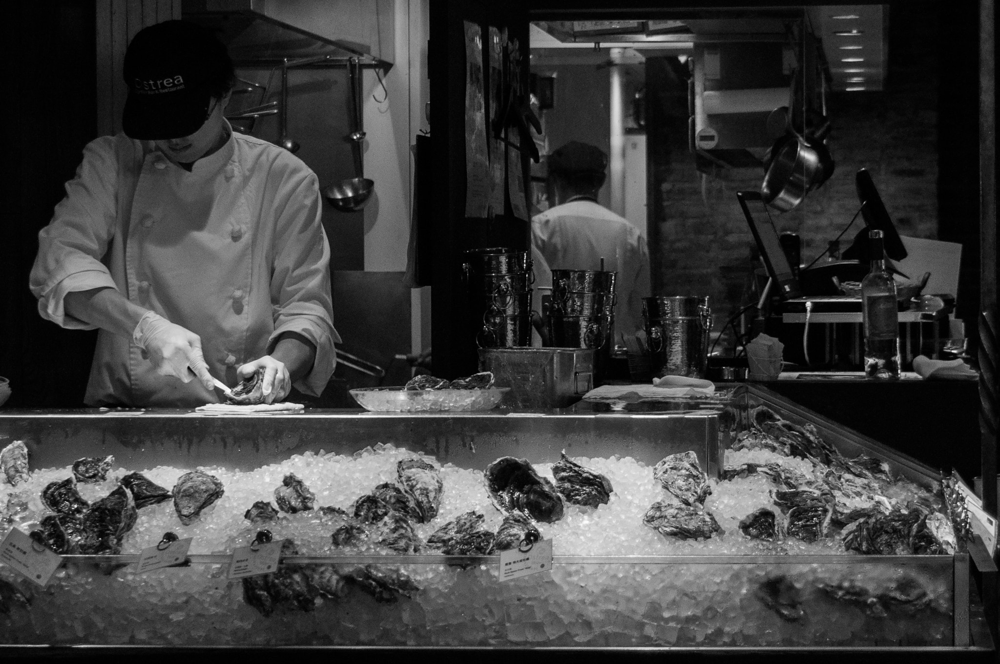 Nikon D5000 sample photo. Oysters photography