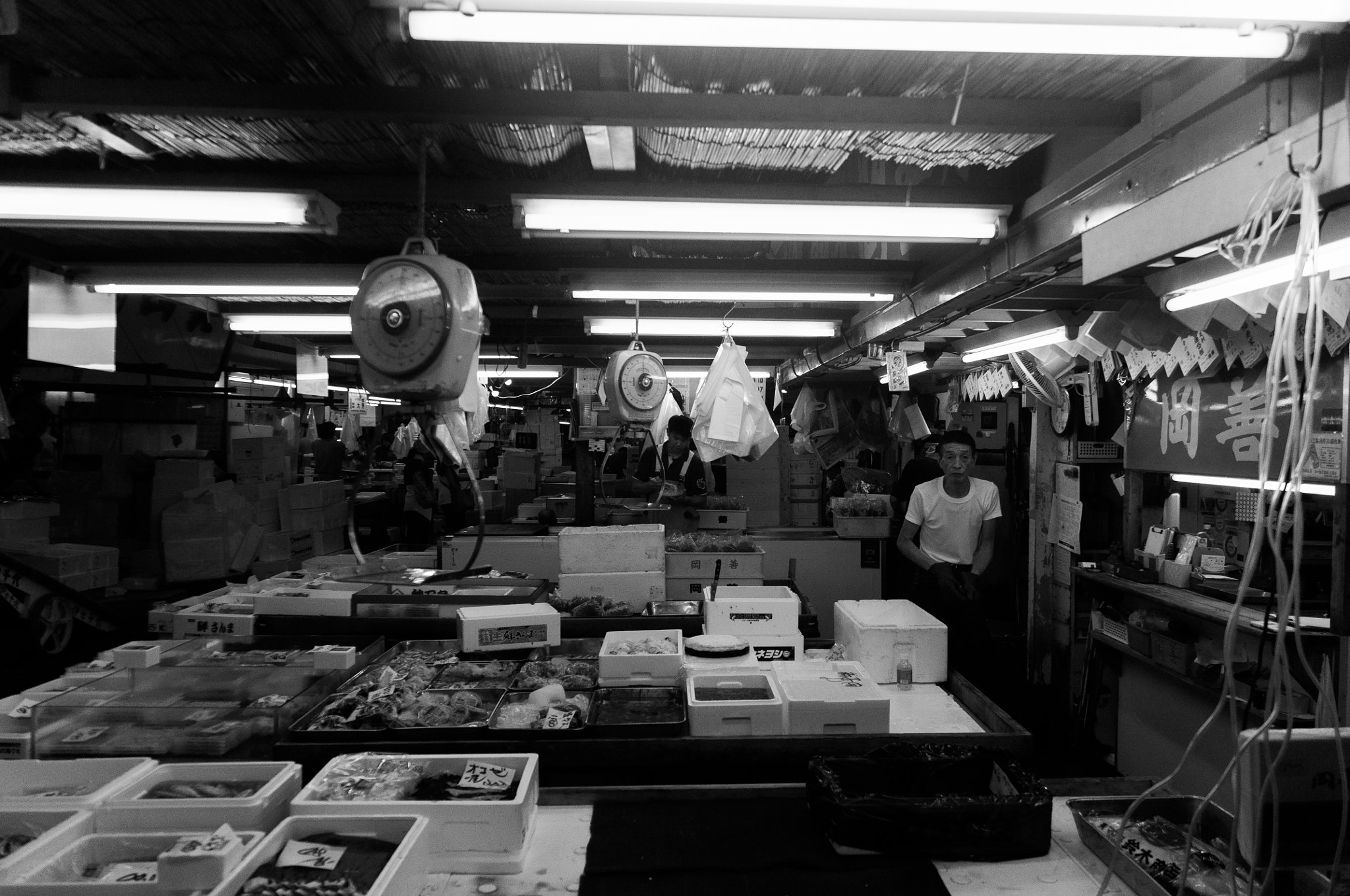 Nikon D5000 sample photo. Lunch at the fish market photography