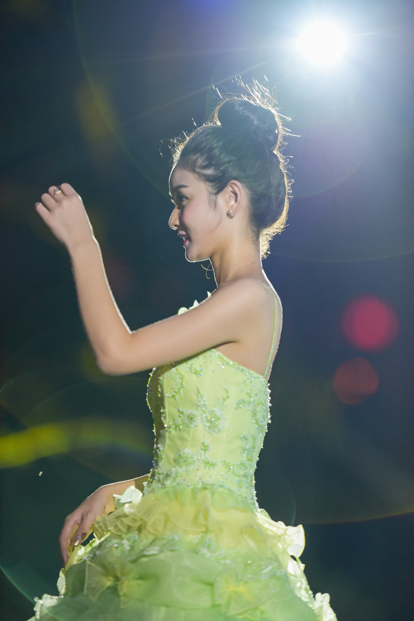 Nikon AF-S Nikkor 200mm F2G ED VR II sample photo. 逆光2 photography