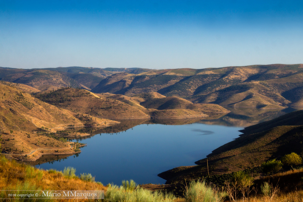 Sigma 18-50mm f/2.8 Macro sample photo. Azul do douro photography