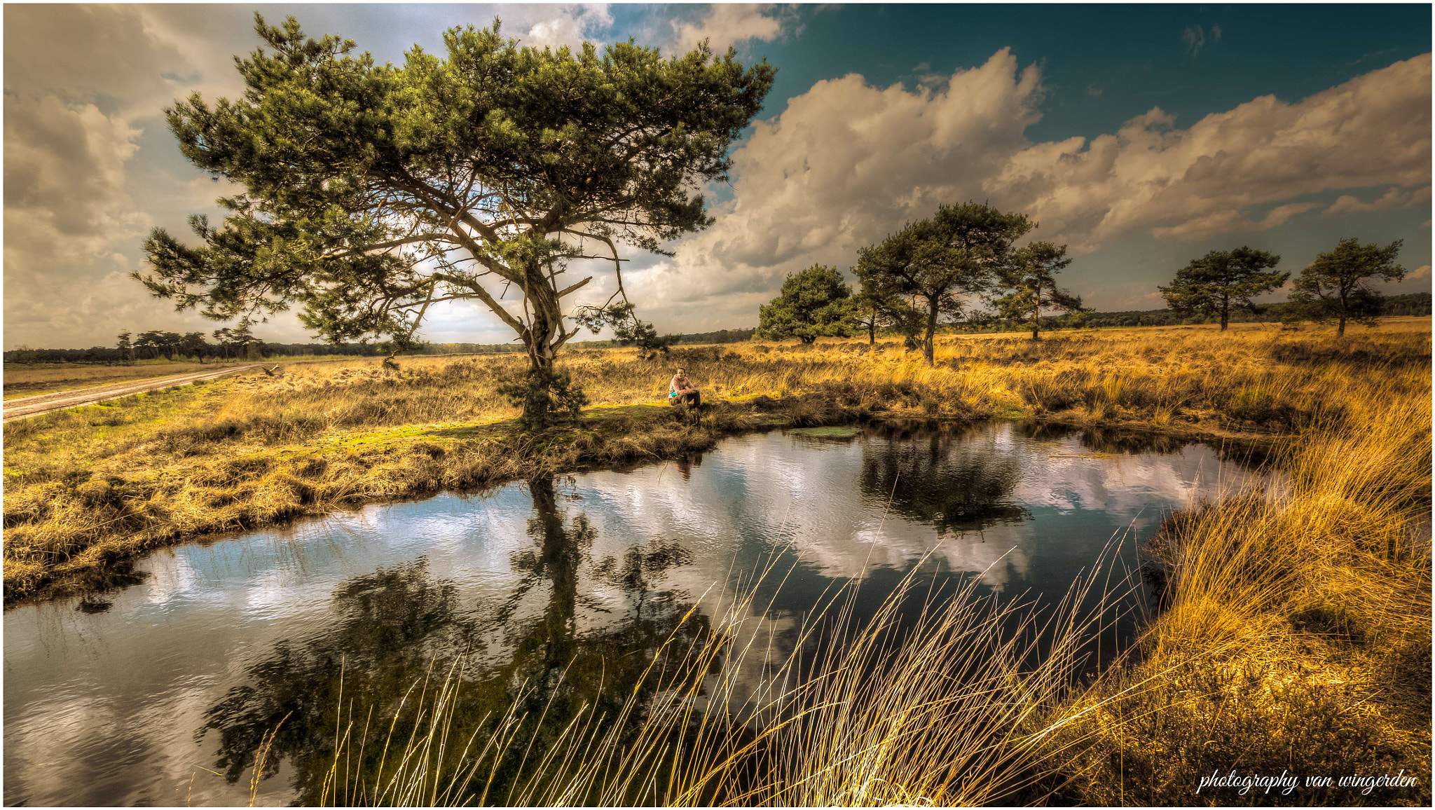 Panasonic Lumix DMC-GX7 sample photo. Kalmthoutse heide photography