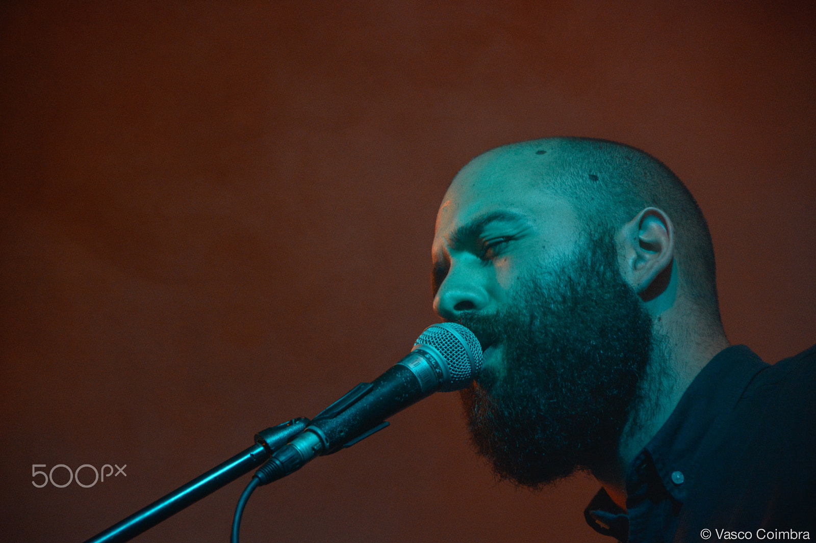 Sigma 18-200mm F3.5-6.3 DC OS HSM sample photo. You can't win, charlie brown photography