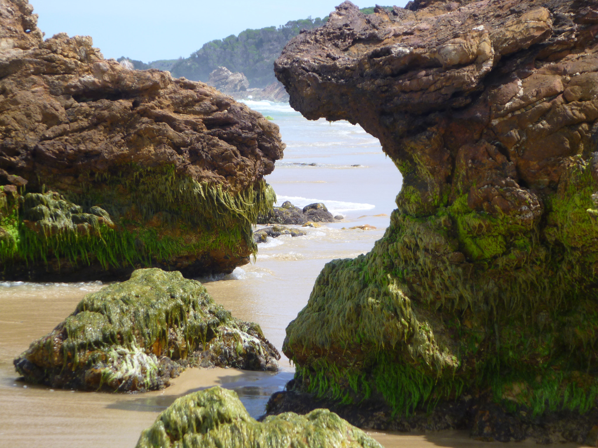 Panasonic DMC-FT3 sample photo. Wild coast beach low tide photography