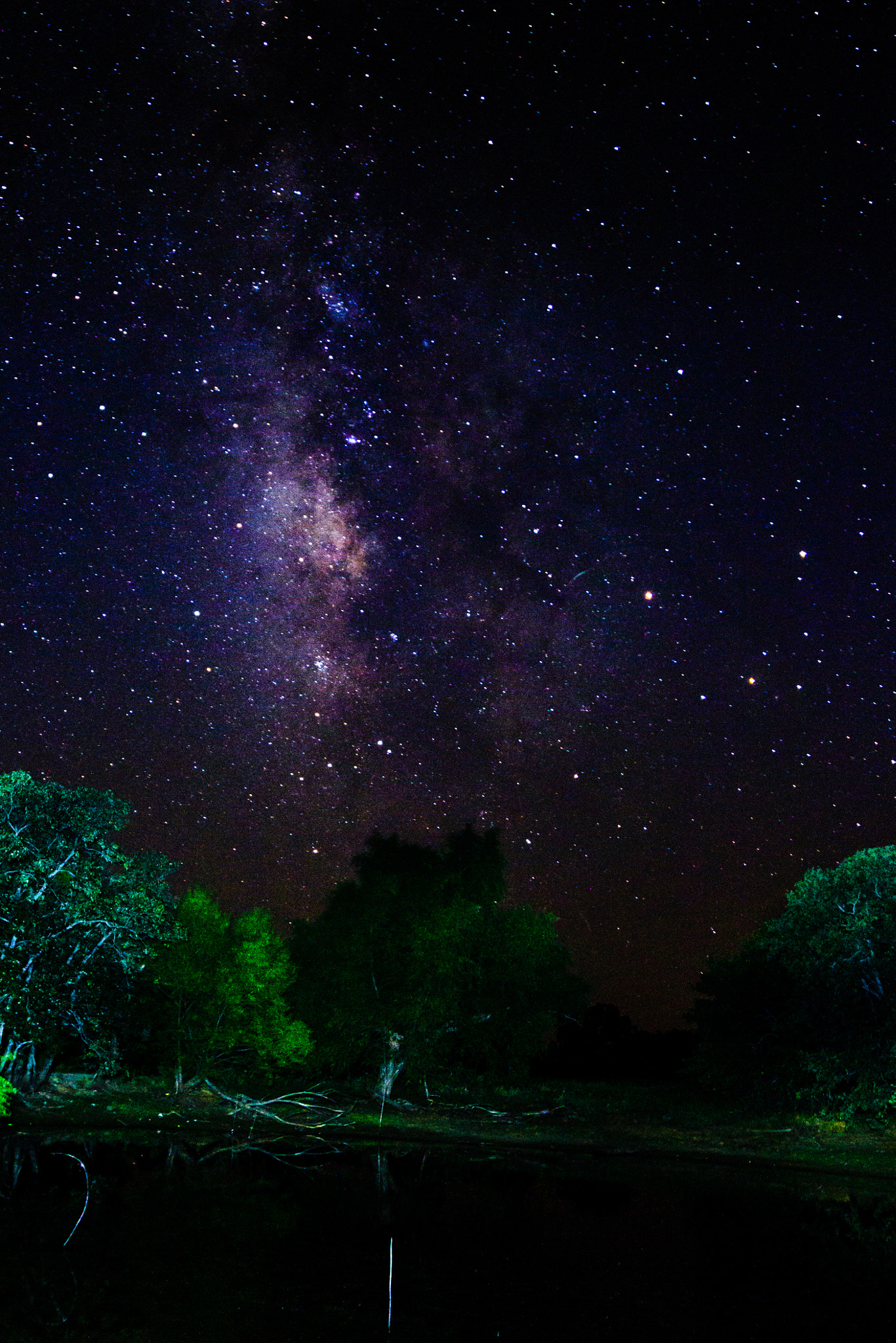 Sigma 15-30mm f/3.5-4.5 EX DG Aspherical sample photo. Milkyway at the pond. photography