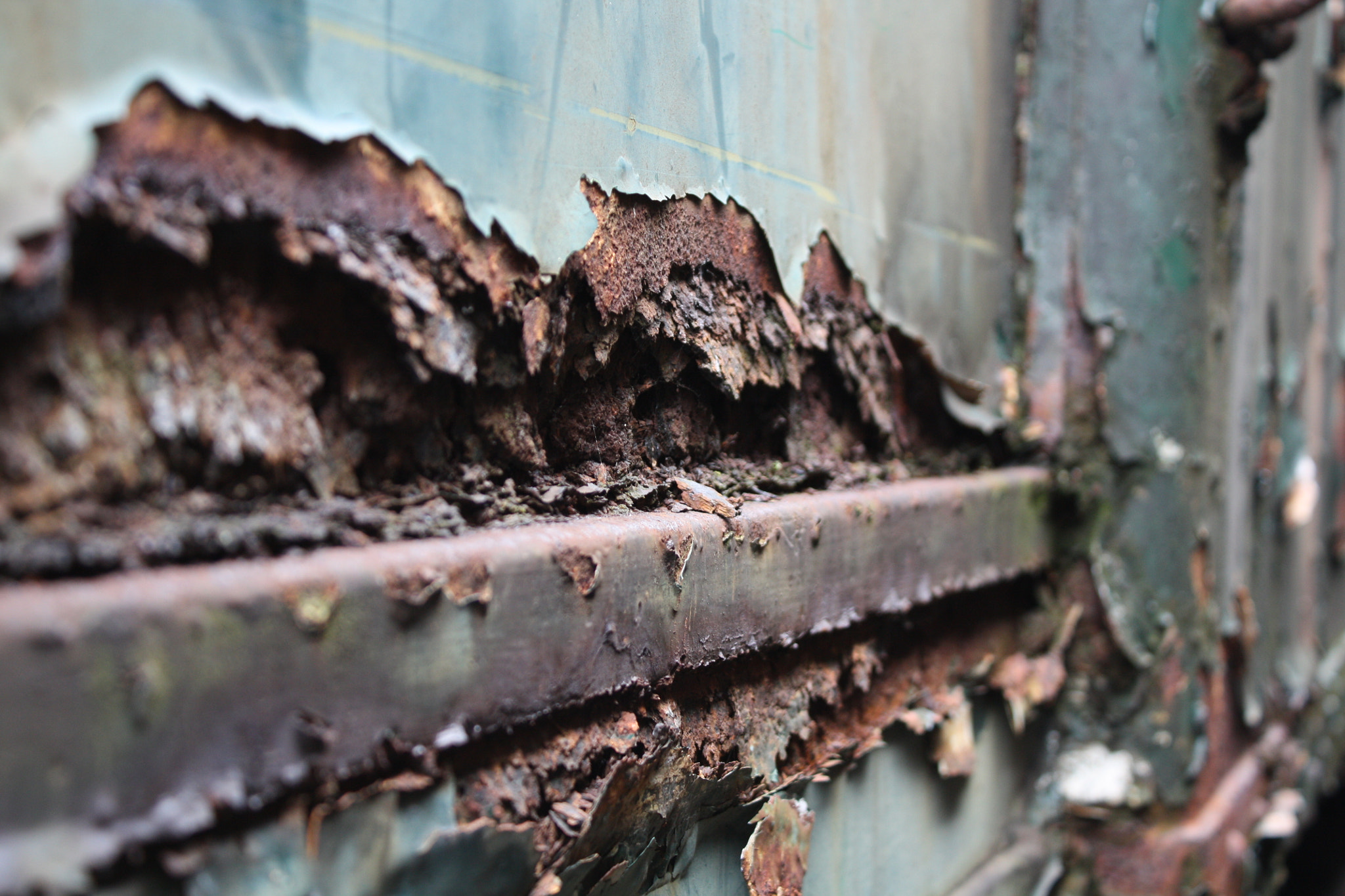 Canon EOS 450D (EOS Rebel XSi / EOS Kiss X2) sample photo. Rusted train door. photography