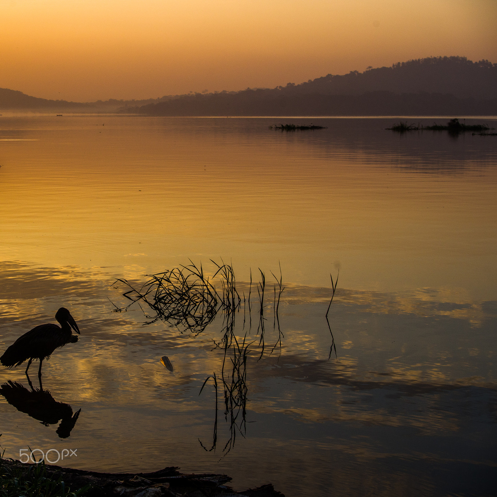 Pentax K-01 sample photo. Magic morning in lake victoria photography
