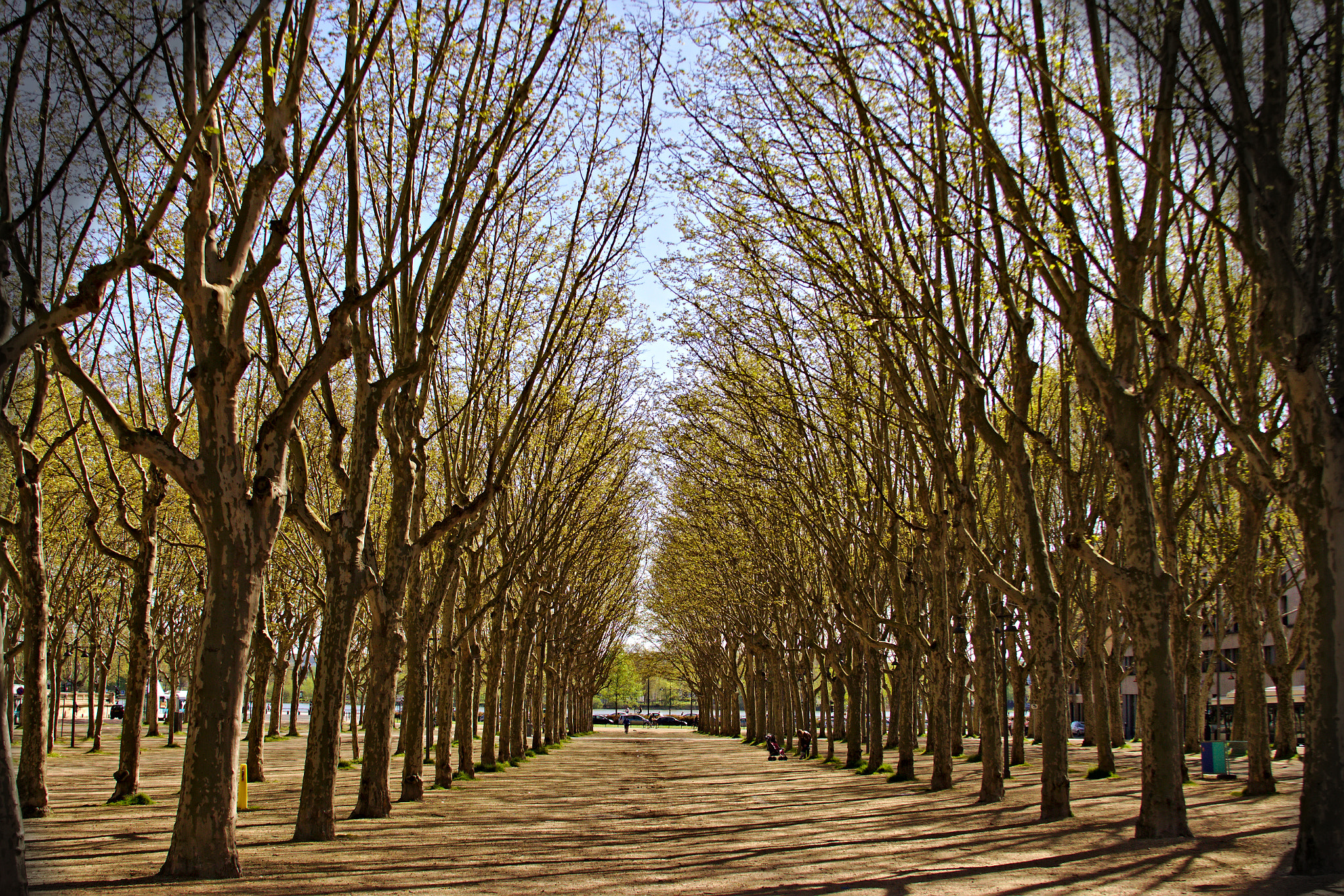 Canon EF 28-135mm F3.5-5.6 IS USM sample photo. Bourdeaux photography