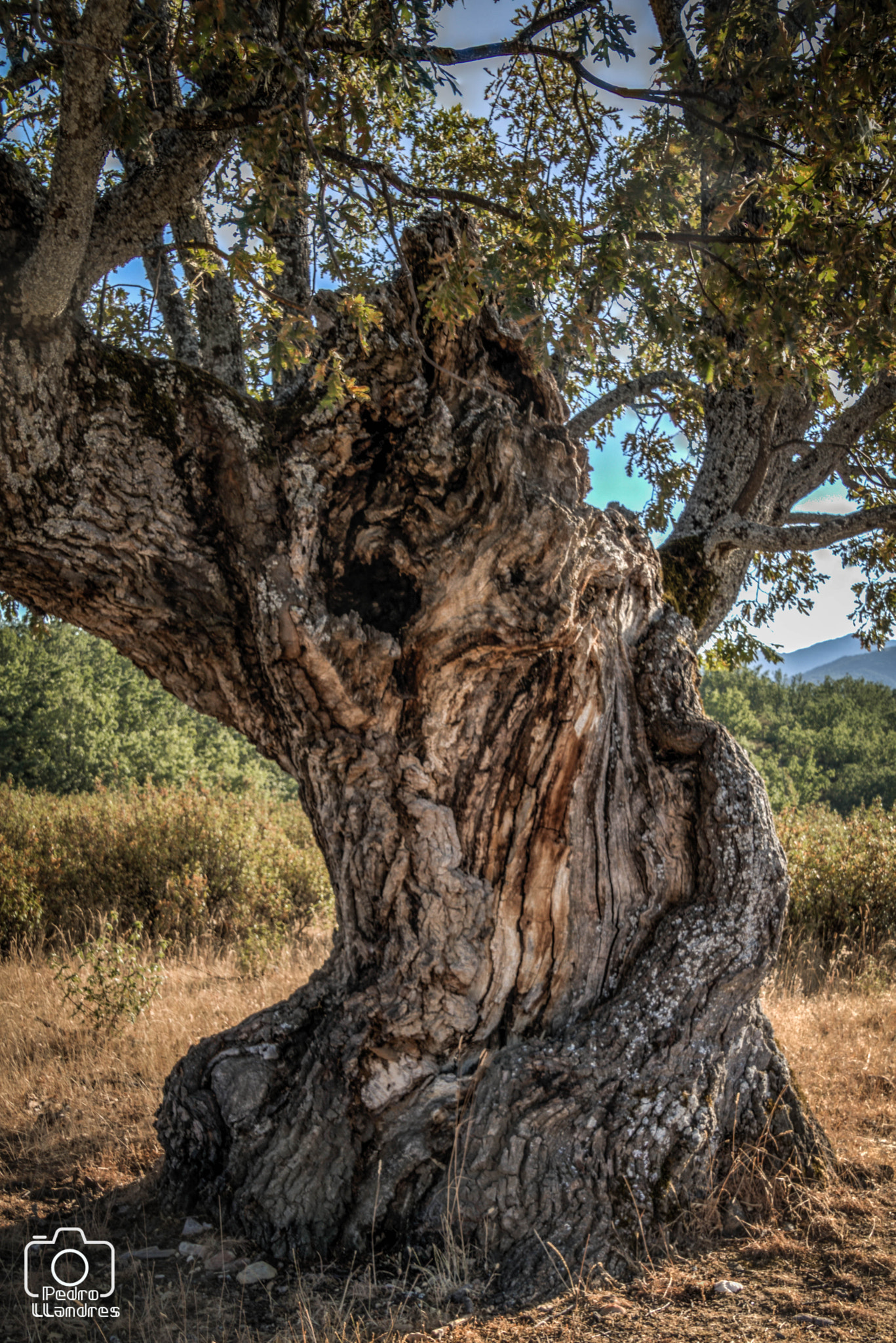 Canon EOS 760D (EOS Rebel T6s / EOS 8000D) sample photo. Jabba el hutt (el retorno de jedi) photography