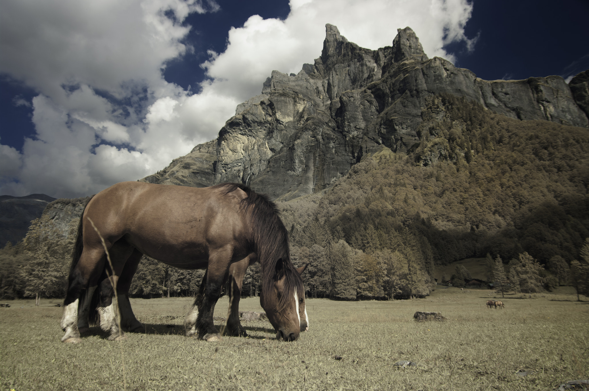 Pentax K20D sample photo. The cheval of sixt fer à cheval photography