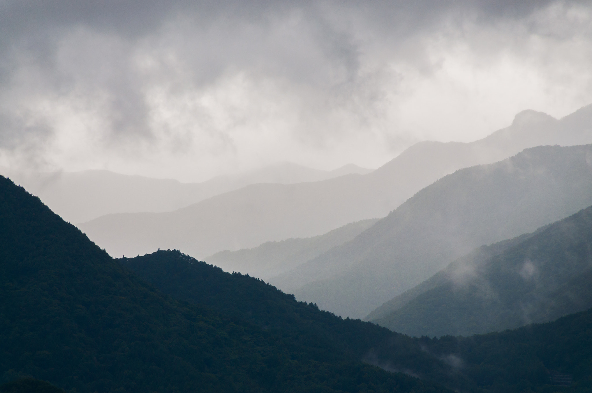 Nikon D5000 sample photo. Lush photography