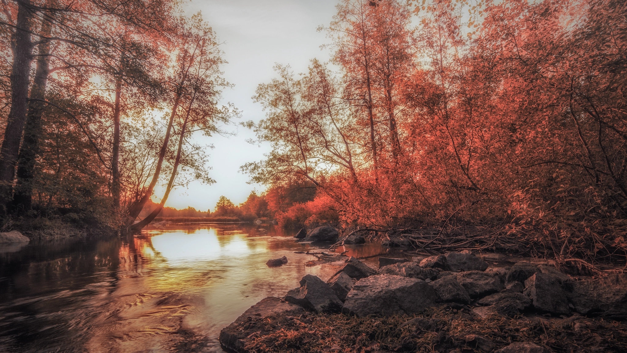 Nikon D3 sample photo. Misty morning photography