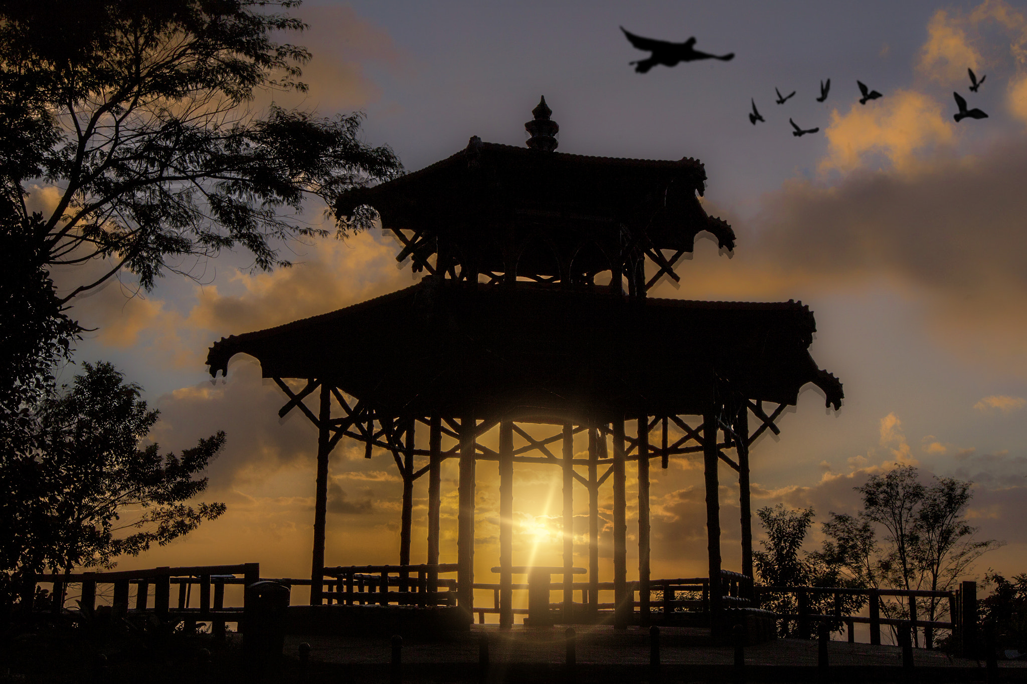 Canon EOS-1D Mark IV sample photo. Paulo campos photography