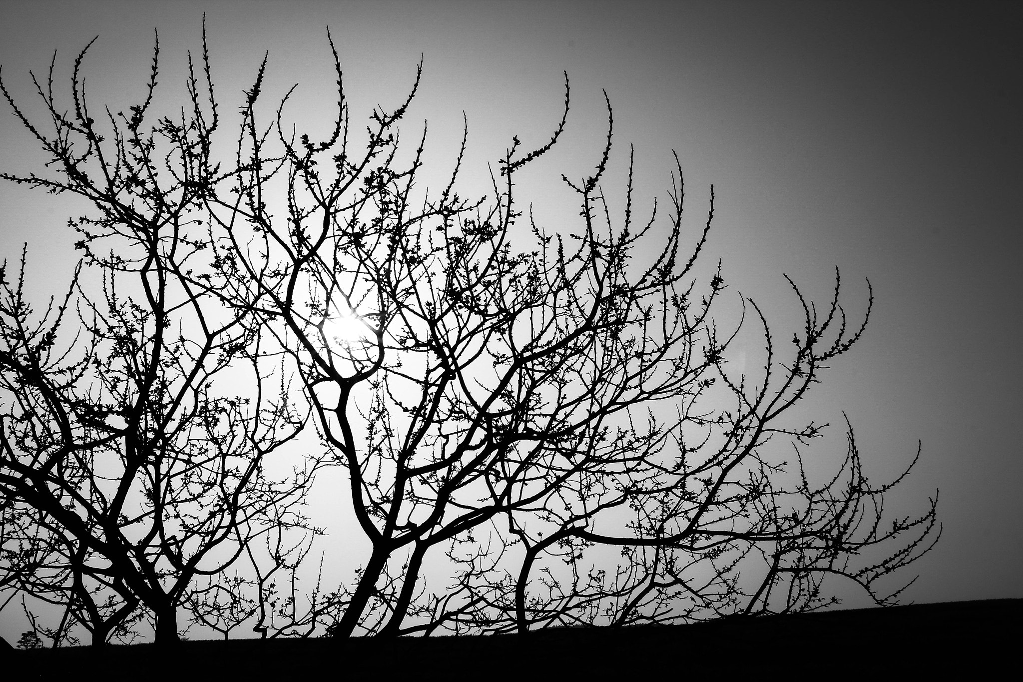 Tokina AT-X 12-28mm F4 Pro DX sample photo. Lonesome photography