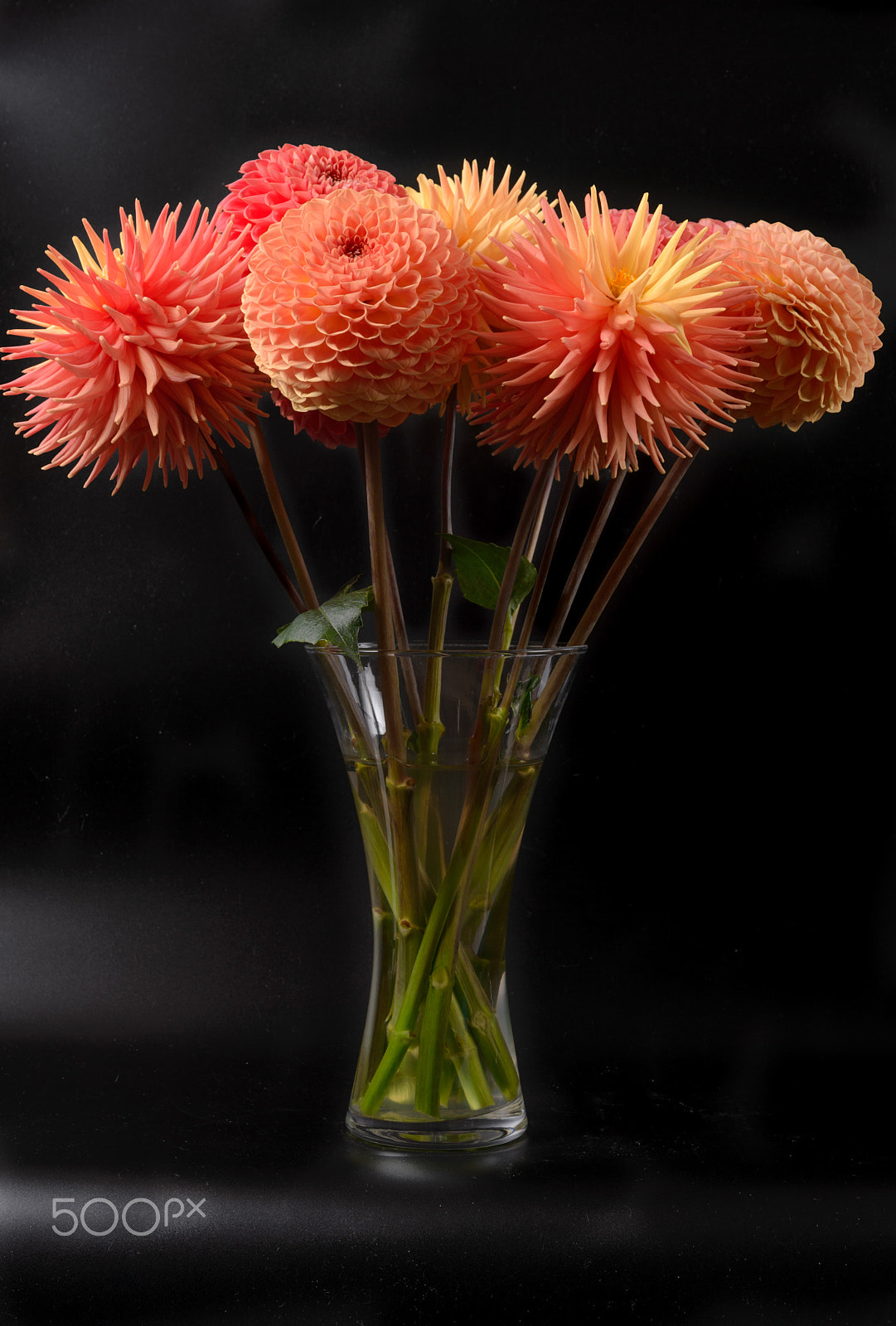 Nikon D4 sample photo. Multiple titles photography
