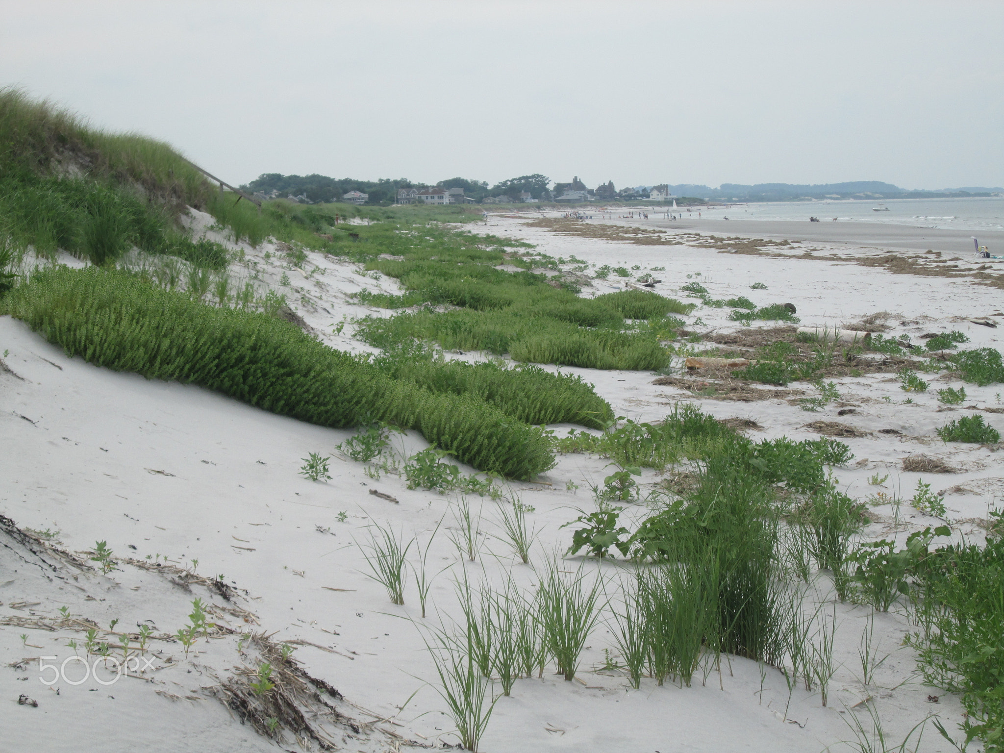 At Wingaersheek Beach
