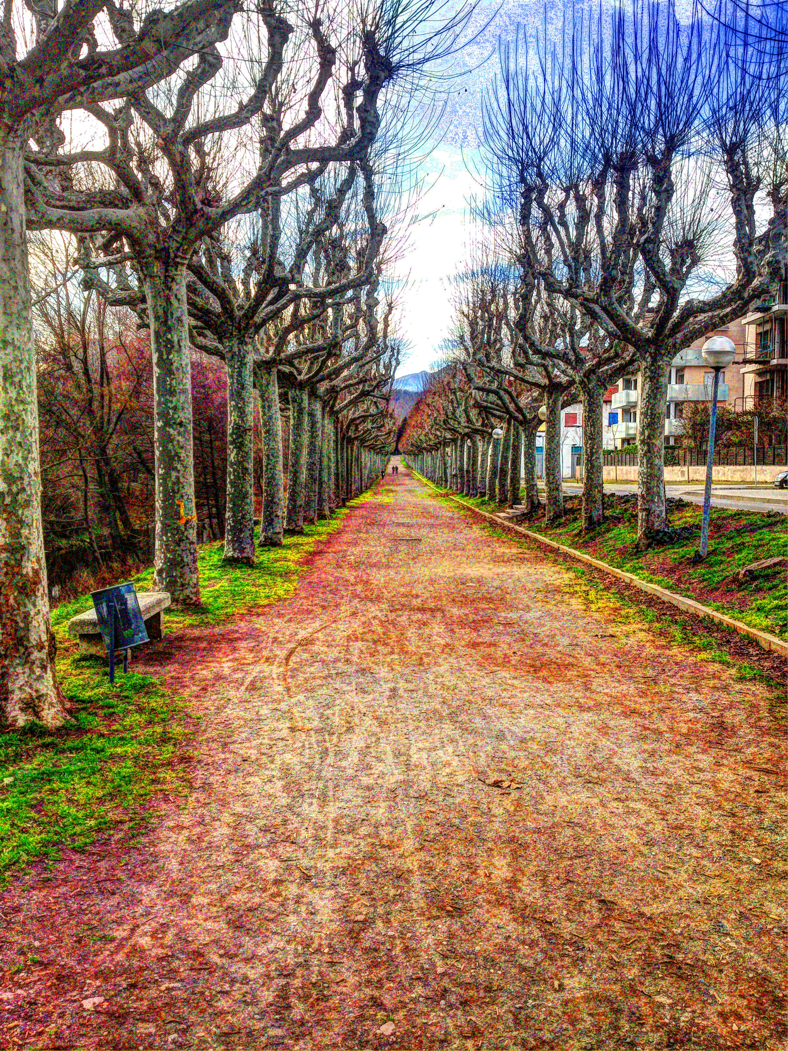 Sony Ericsson Xperia S sample photo. Paseo olot photography