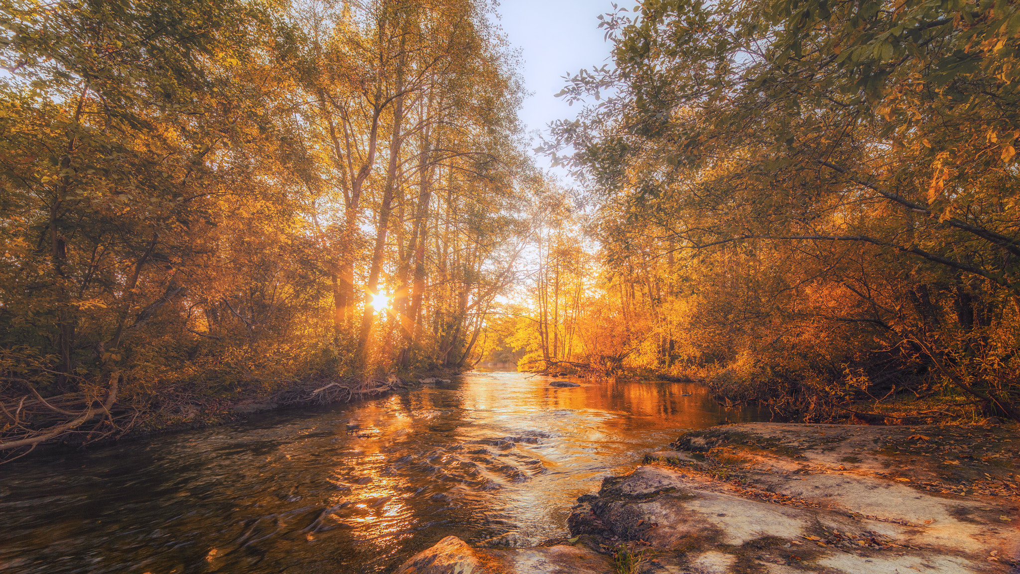 Nikon D3 sample photo. Morning glow photography