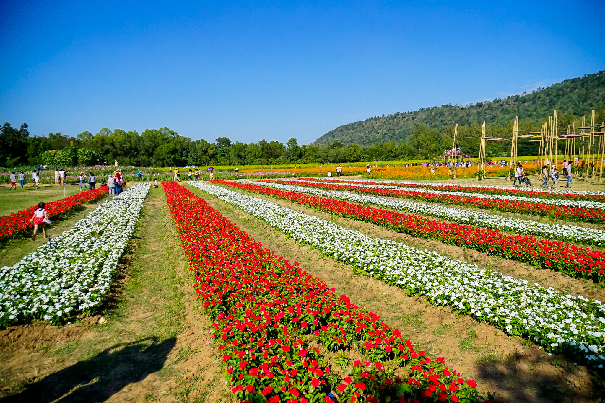 Sony a7 + Sony Vario-Tessar T* E 16-70mm F4 ZA OSS sample photo. Dsc photography