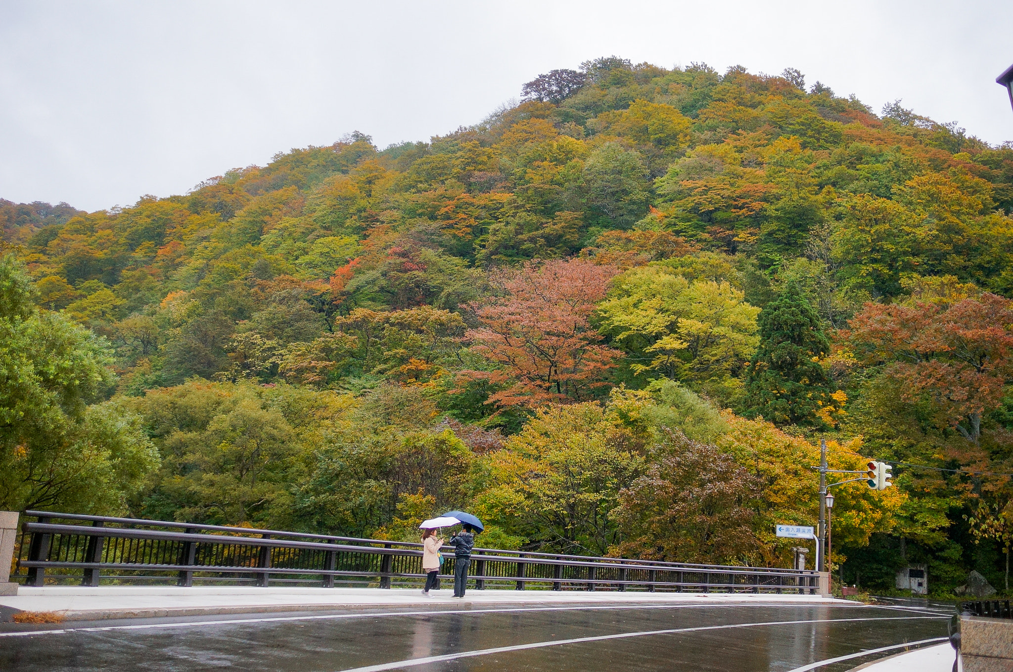 Sony Sonnar T* E 24mm F1.8 ZA sample photo. Dsc photography