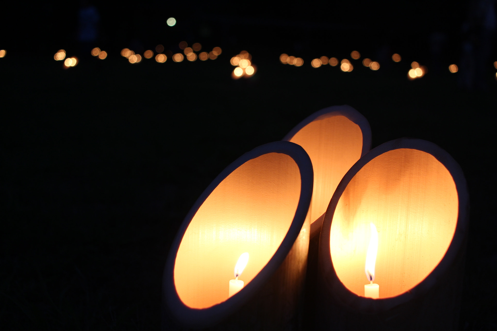 Canon EOS 100D (EOS Rebel SL1 / EOS Kiss X7) sample photo. Bamboo lanterns photography