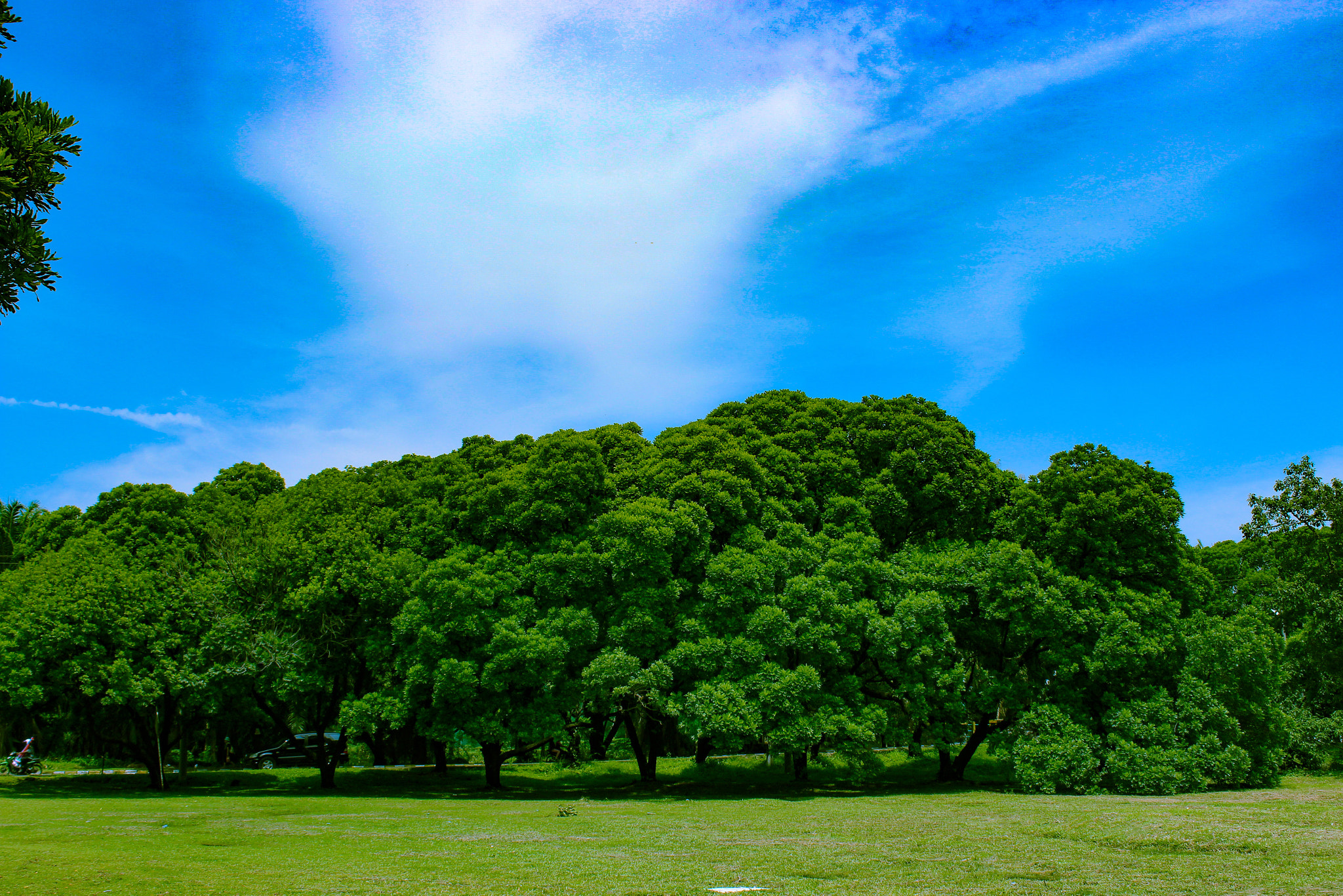Canon EF-S 18-55mm F3.5-5.6 IS II sample photo. Green park.. photography