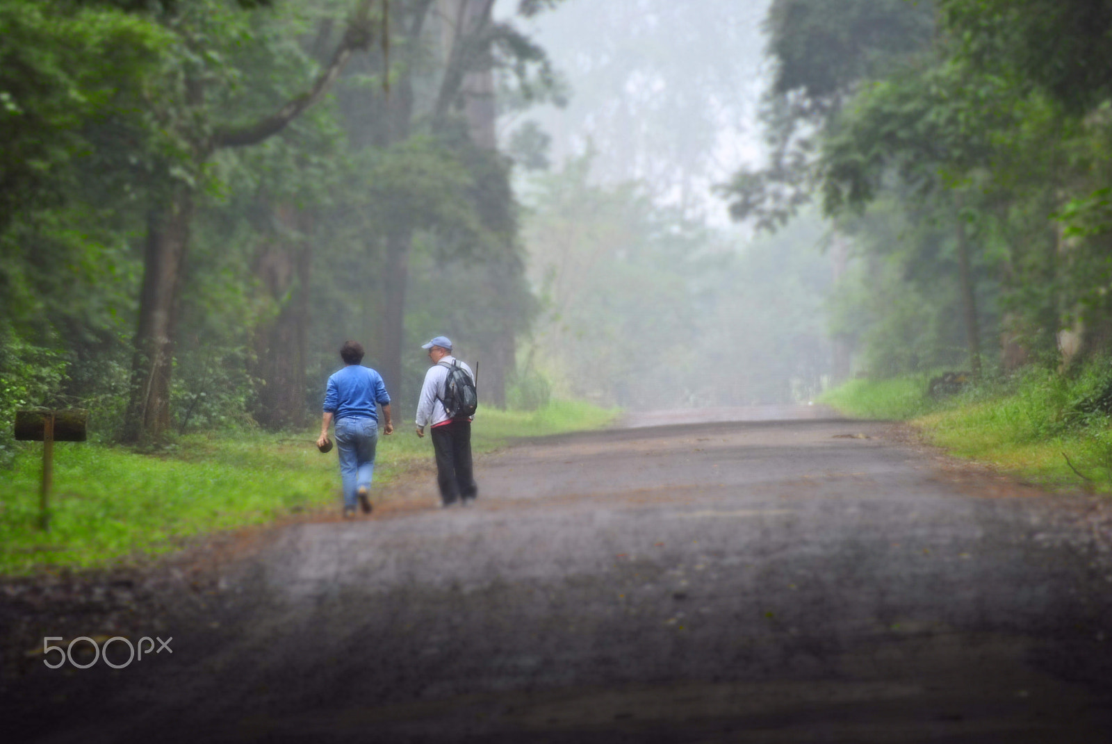 Nikon D3000 sample photo. Walking photography