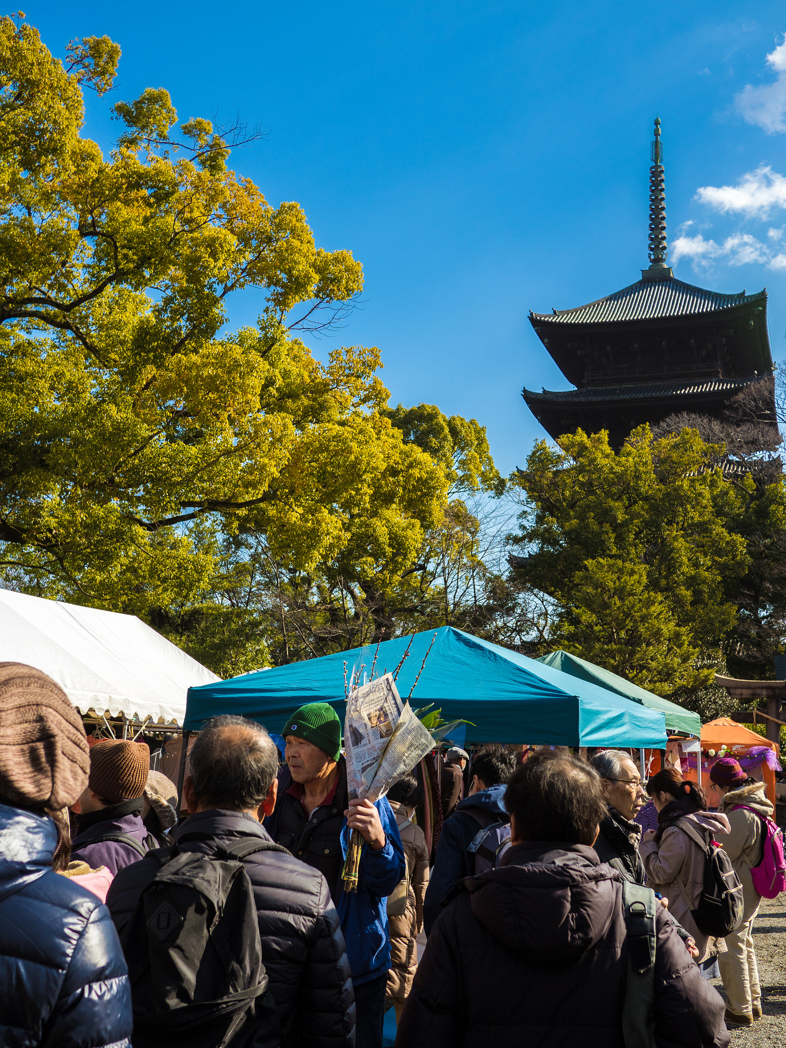 Olympus OM-D E-M5 II + LUMIX G 20/F1.7 II sample photo. Toji temple walks #3 photography