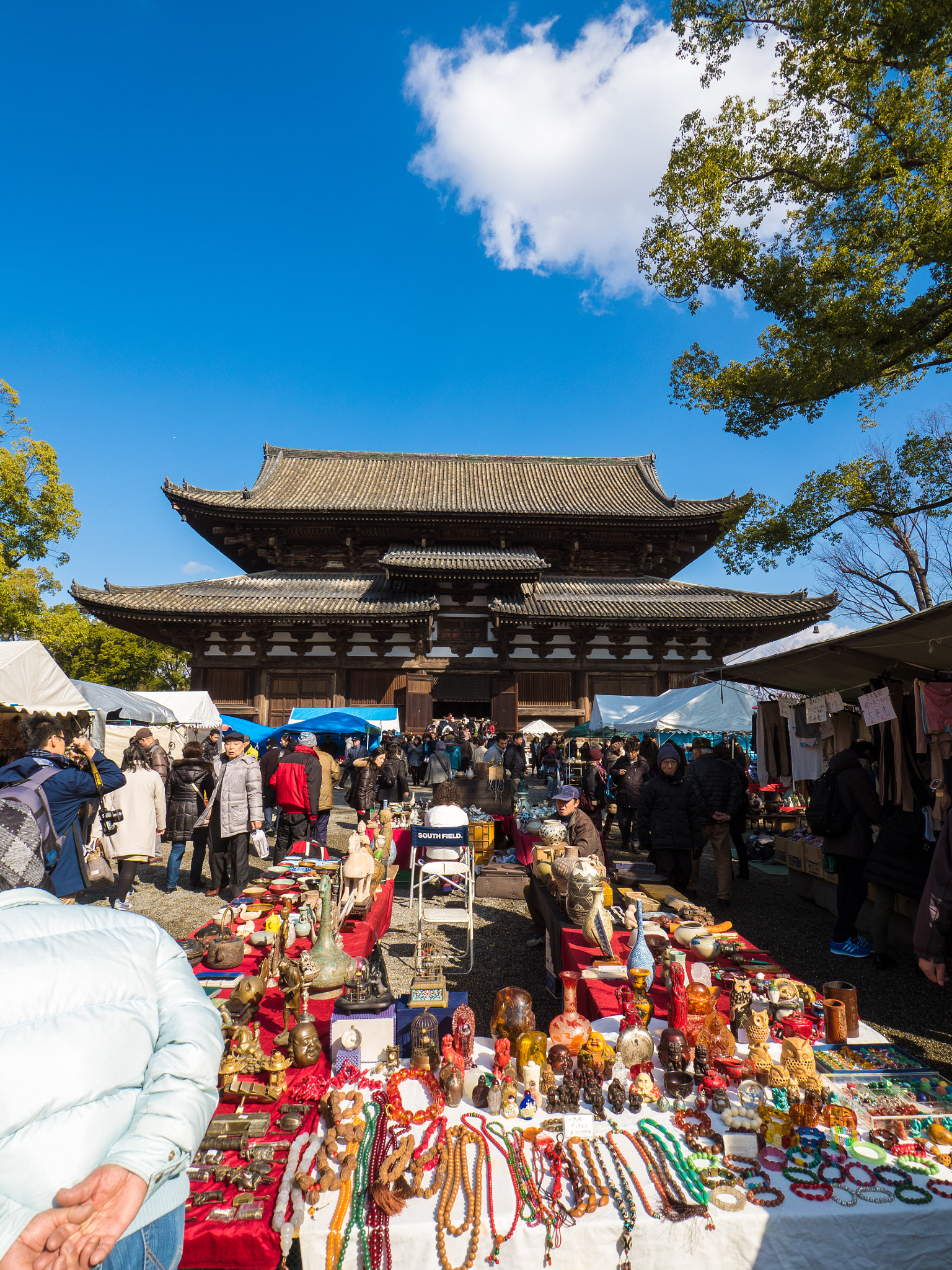 Olympus OM-D E-M5 II + OLYMPUS M.9-18mm F4.0-5.6 sample photo. Toji temple walks #2 photography