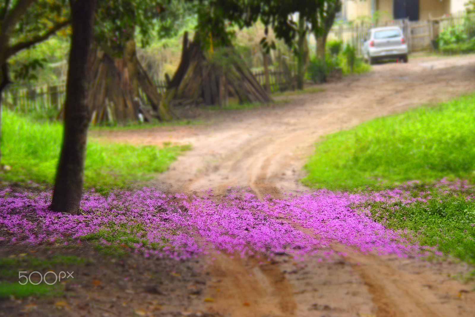 Nikon D3000 sample photo. Way photography