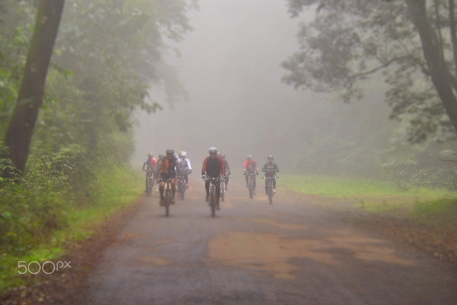 Nikon D3000 sample photo. Bike photography