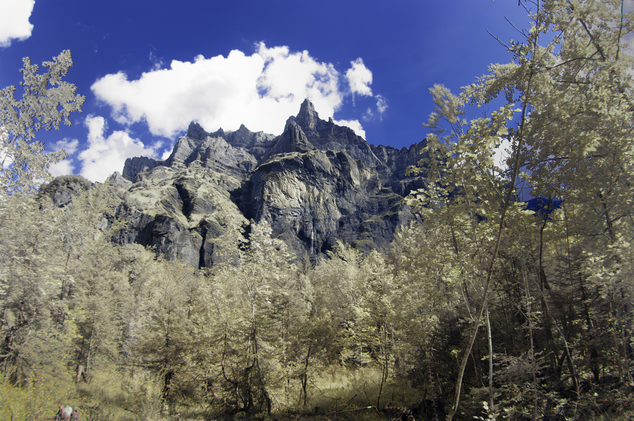 Pentax K20D sample photo. Golden trees and mountain skies photography