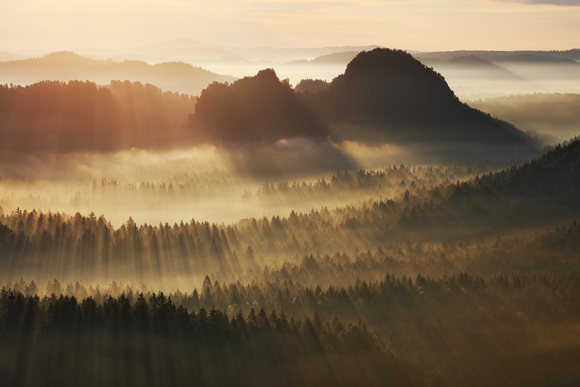 Canon EF 70-300mm F4-5.6L IS USM sample photo. Fog symphony photography