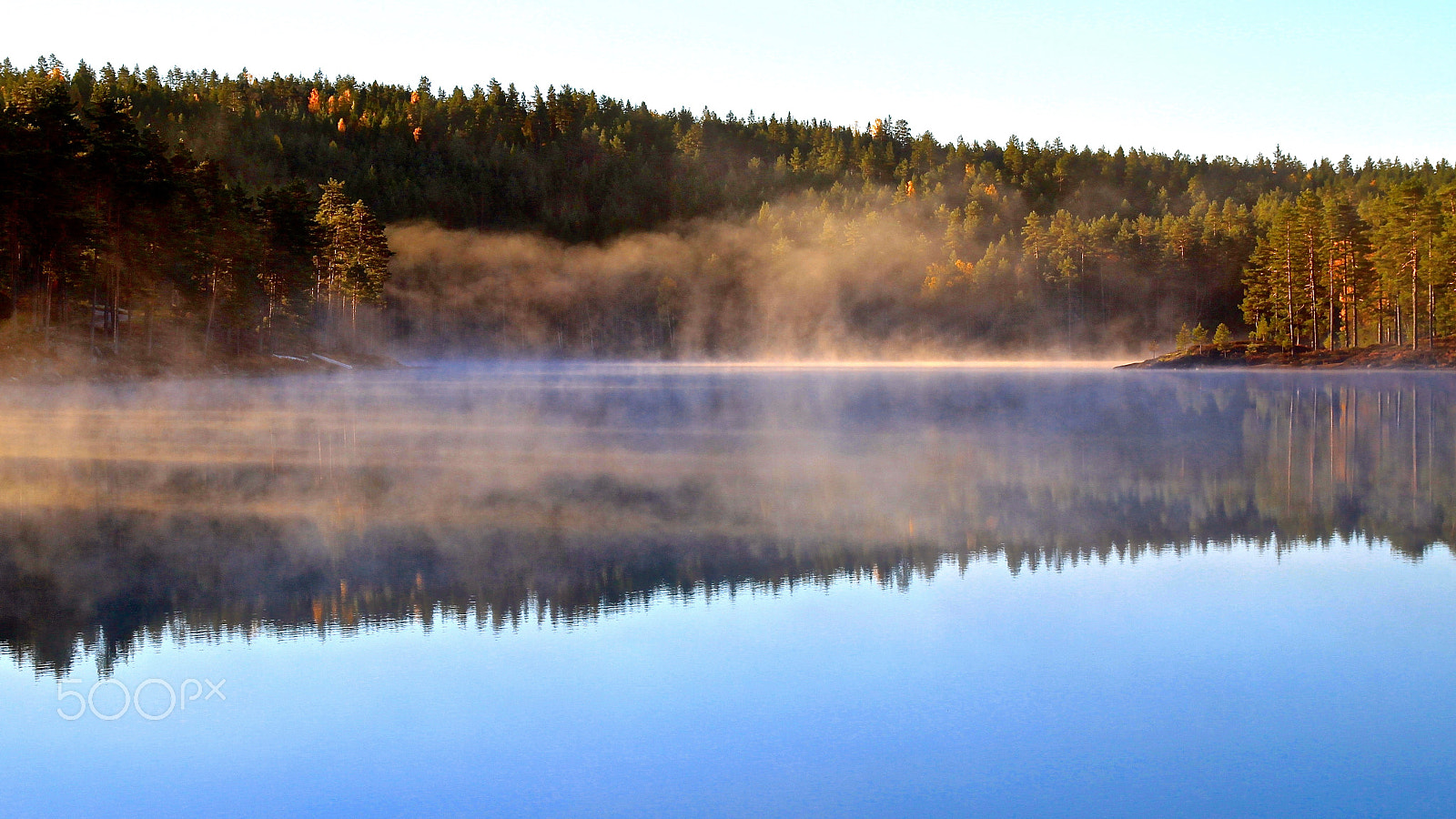Canon EOS 500D (EOS Rebel T1i / EOS Kiss X3) sample photo. Autumn morning photography