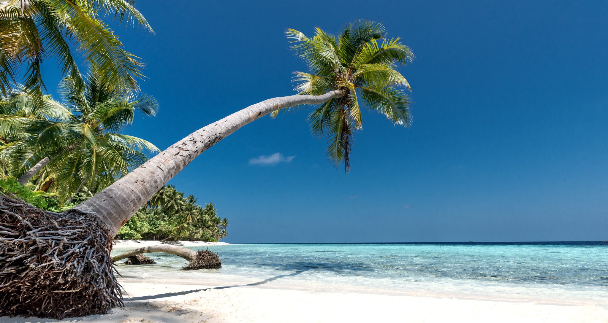 Sigma 12-24mm F4.5-5.6 II DG HSM sample photo. Beautiful beach photography