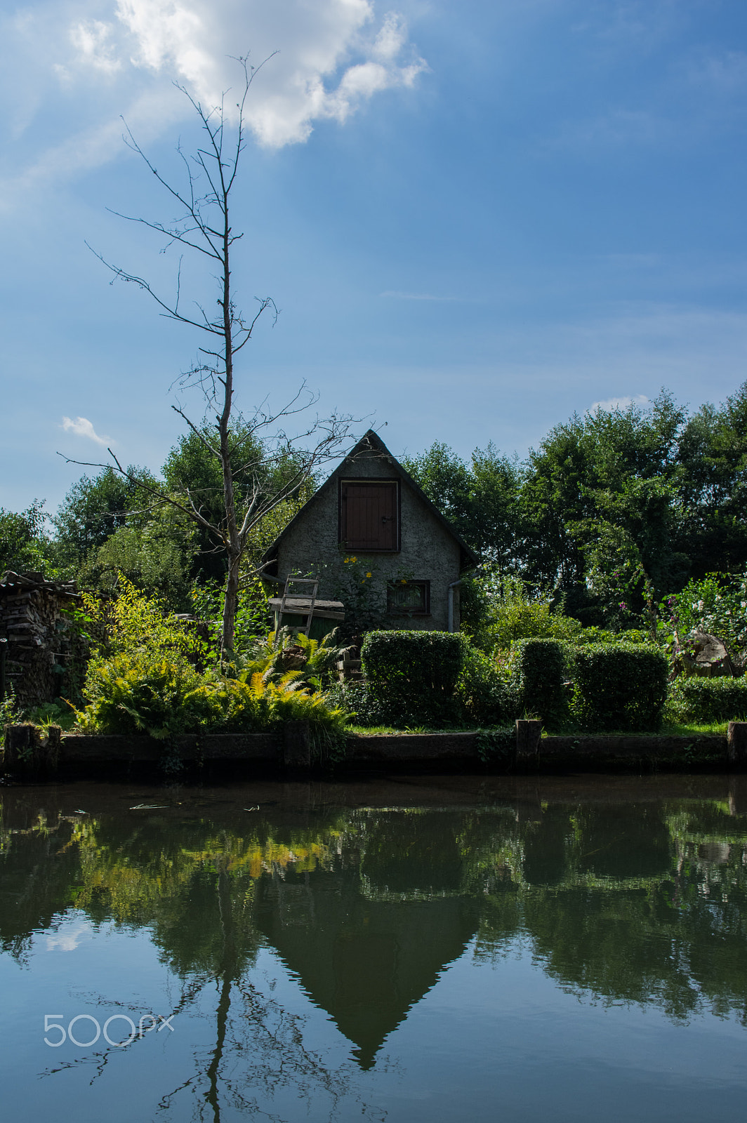 HD Pentax DA 21mm F3.2 AL Limited sample photo. Spreewald i photography