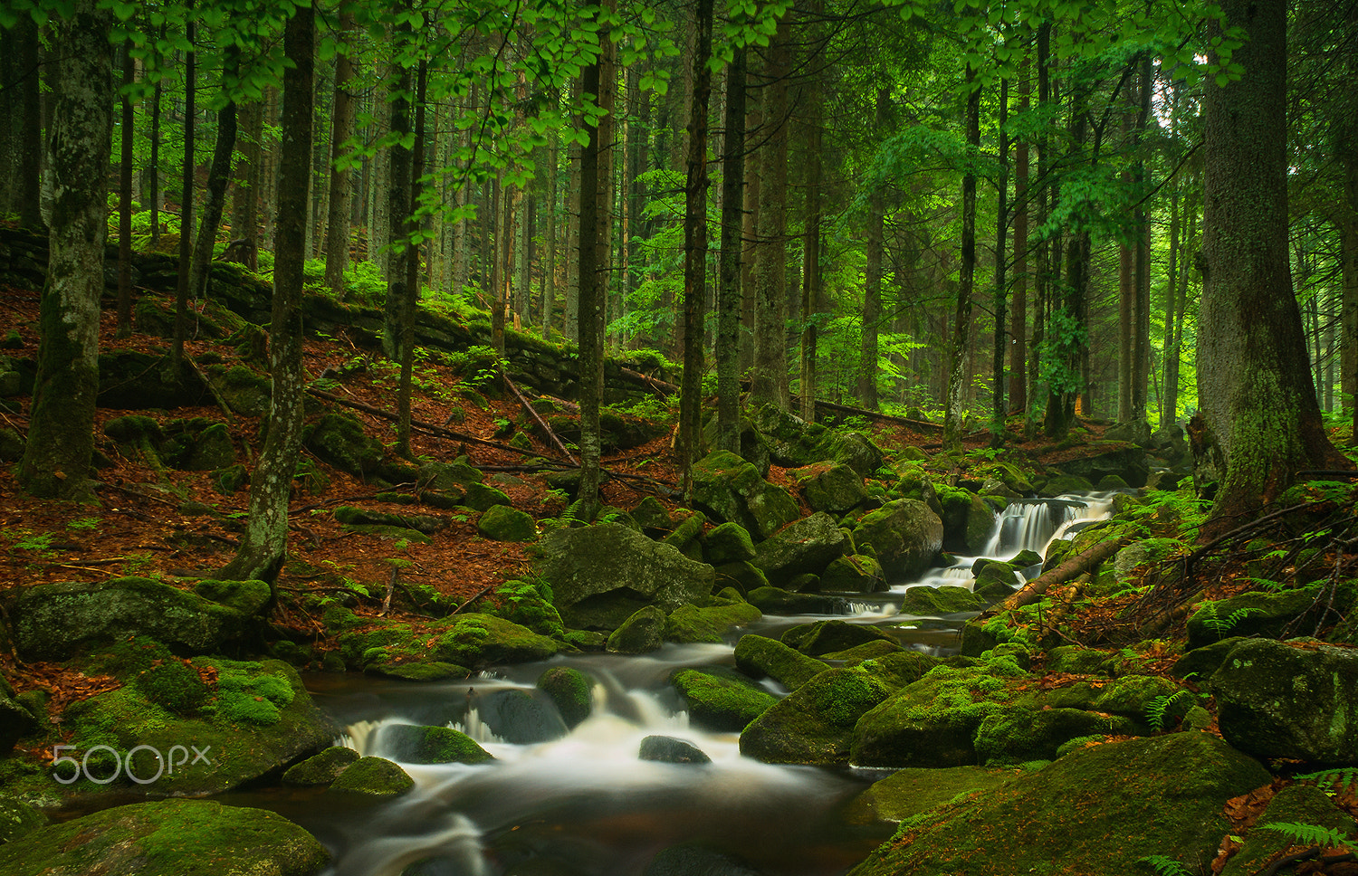 Sony Alpha DSLR-A550 + Sony DT 18-70mm F3.5-5.6 sample photo. A small creek in the bavarian forest vii photography