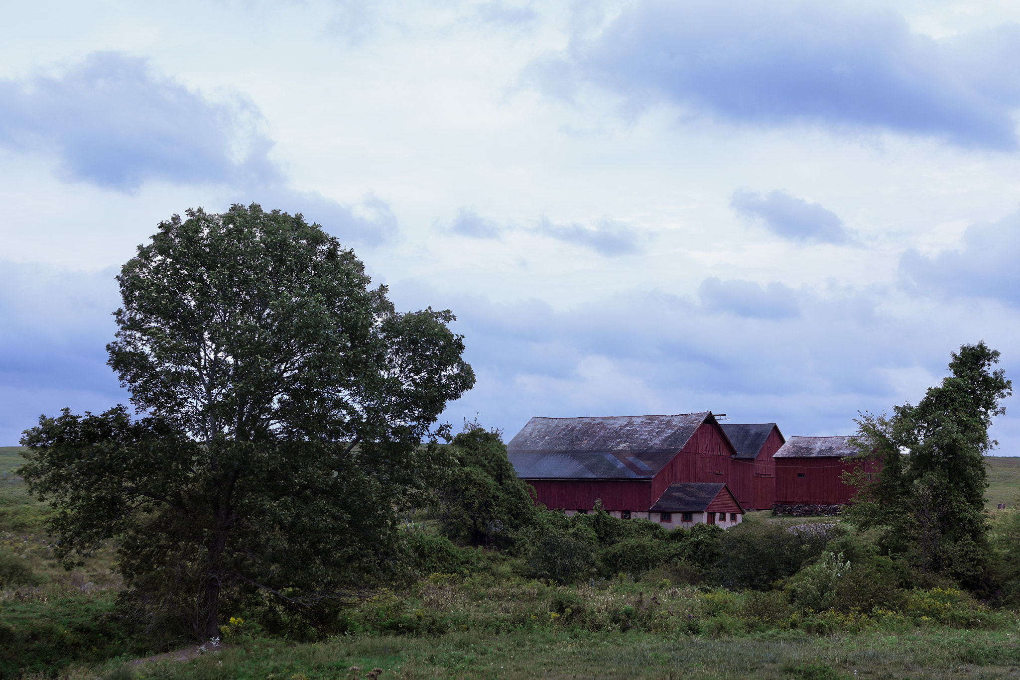 EF28-70mm f/2.8L USM sample photo. Storm brewing at the farm photography