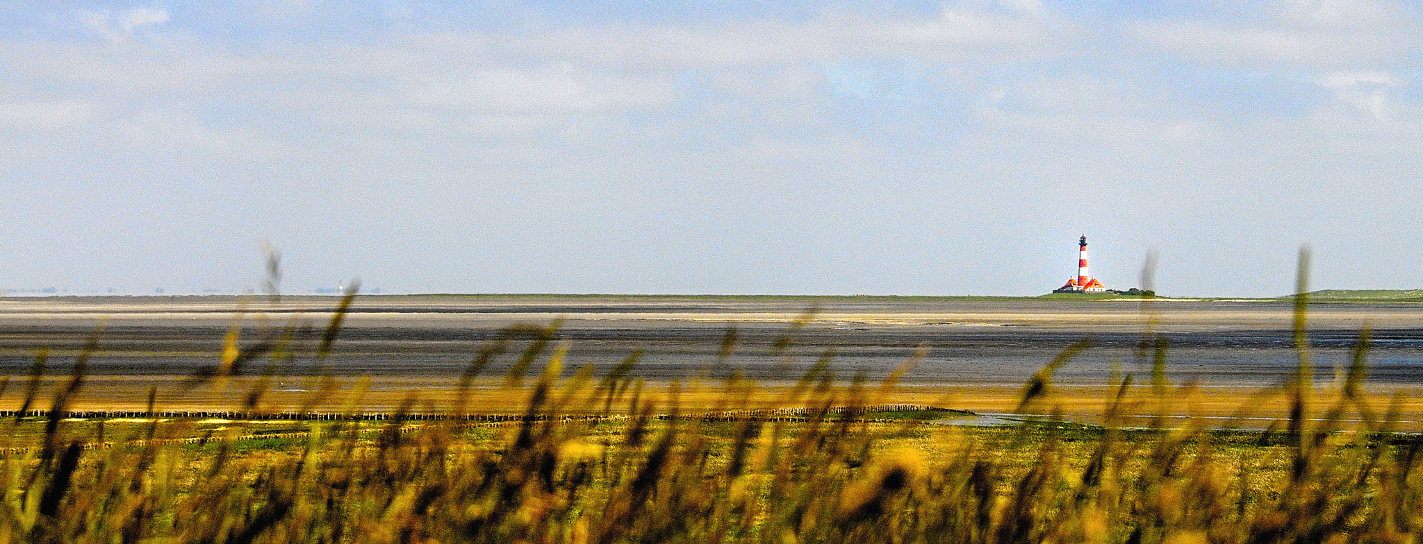 Nikon D300 sample photo. Westerhever photography